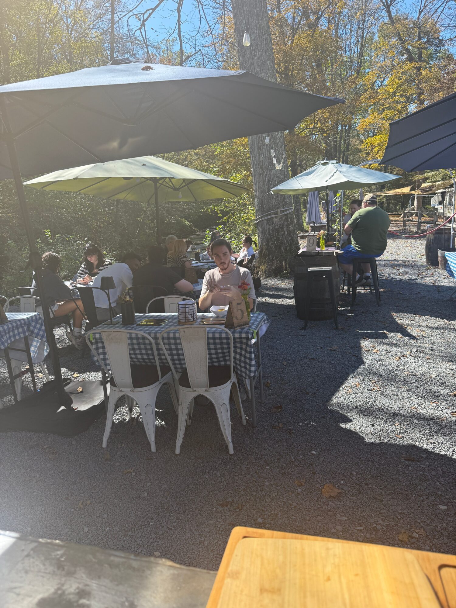 People gathered around tables outdoors with umbrellas, enjoying a sunny day in a garden setting.