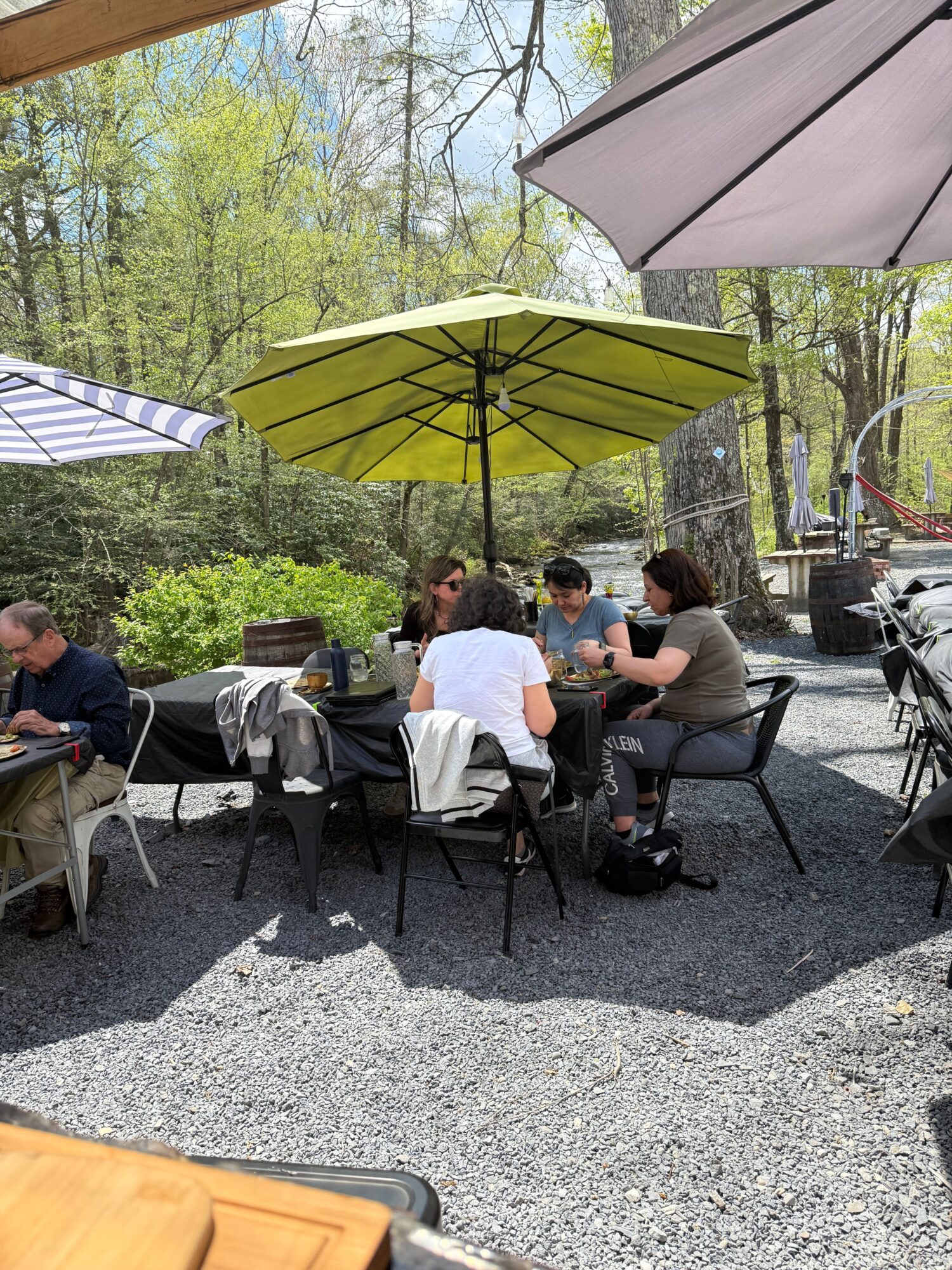 Group of people sitting around a table outdoors under a large green umbrella, with trees and a gravel ground.