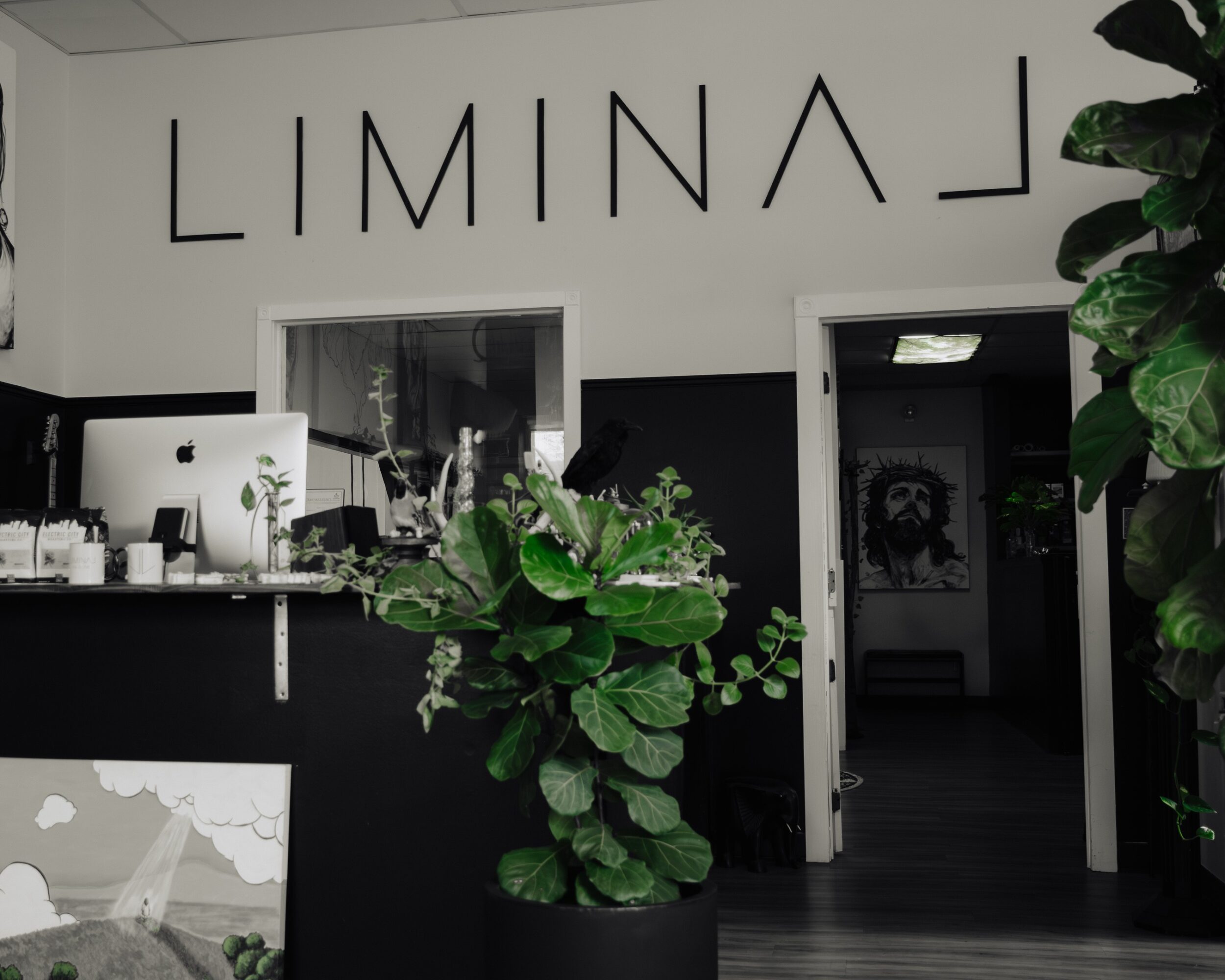 Interior of a space with a large green plant, a reception desk, and the word 'LIMINA' on the wall.