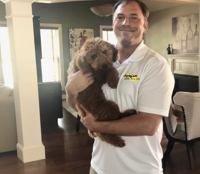 Man holding a fluffy brown puppy indoors, smiling, in a room with artwork and furniture.