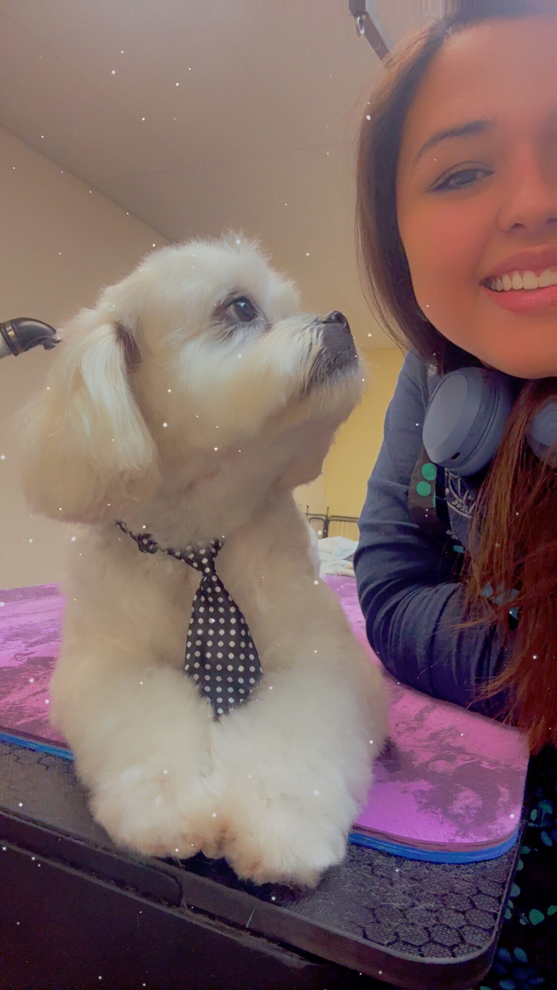 Person smiling with a puppy wearing a polka dot tie, lying on a pink surface.