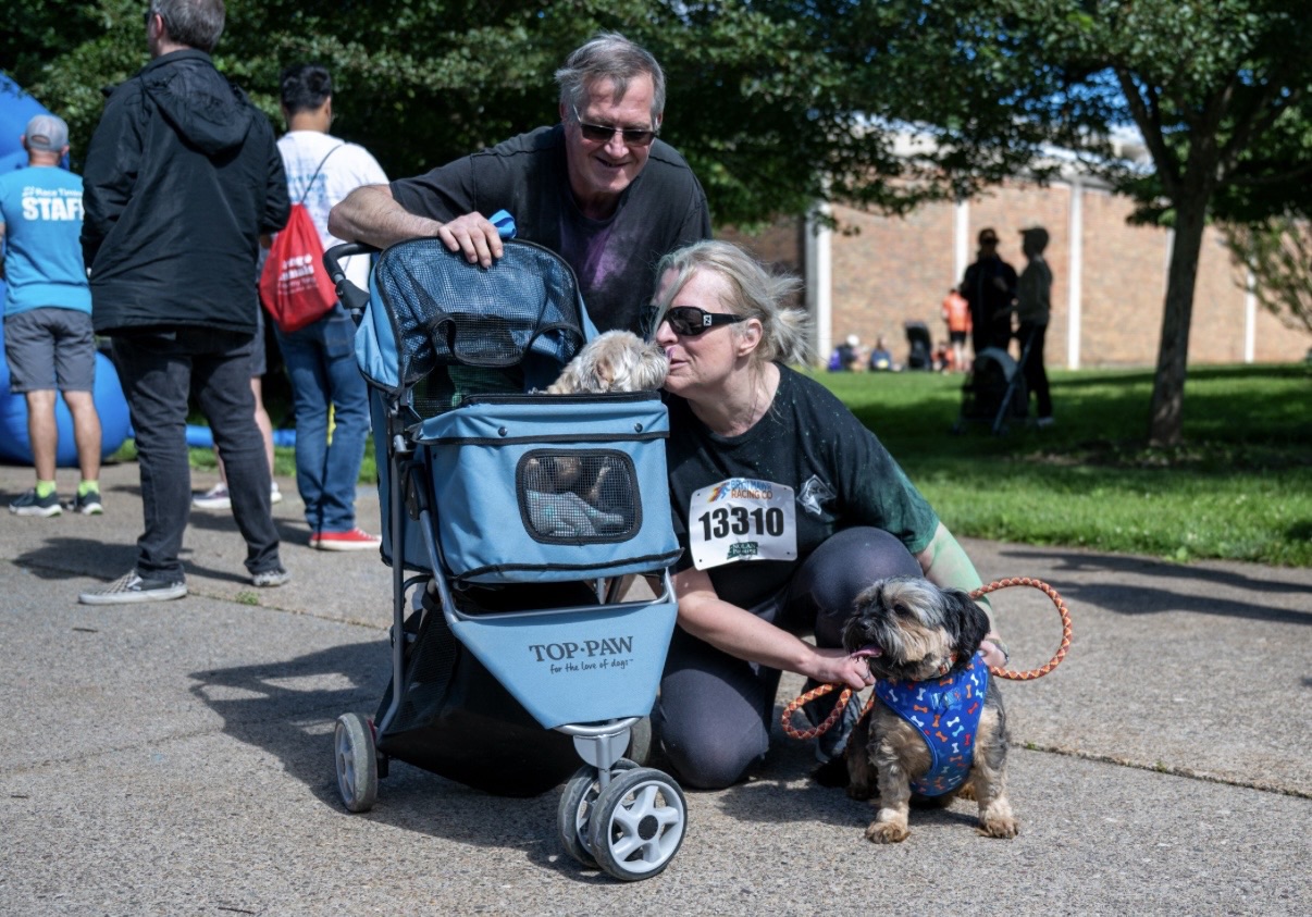 Woman with a dog in a blue harness, woman with a stroller, and man outdoors with trees and people in background.
