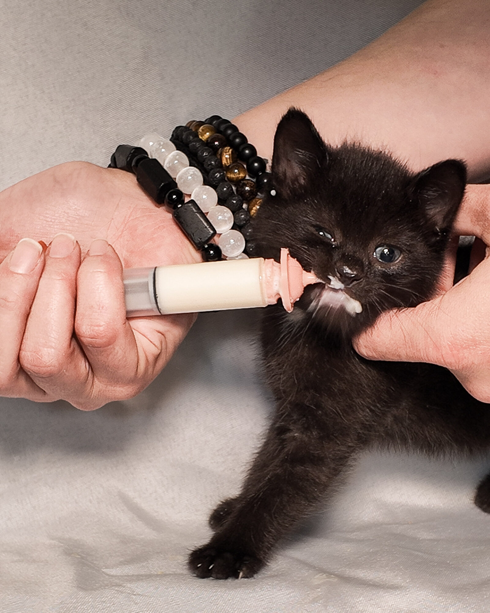 Person holding a black kitten while feeding it with a syringe, wearing beaded bracelets, on a gray surface.