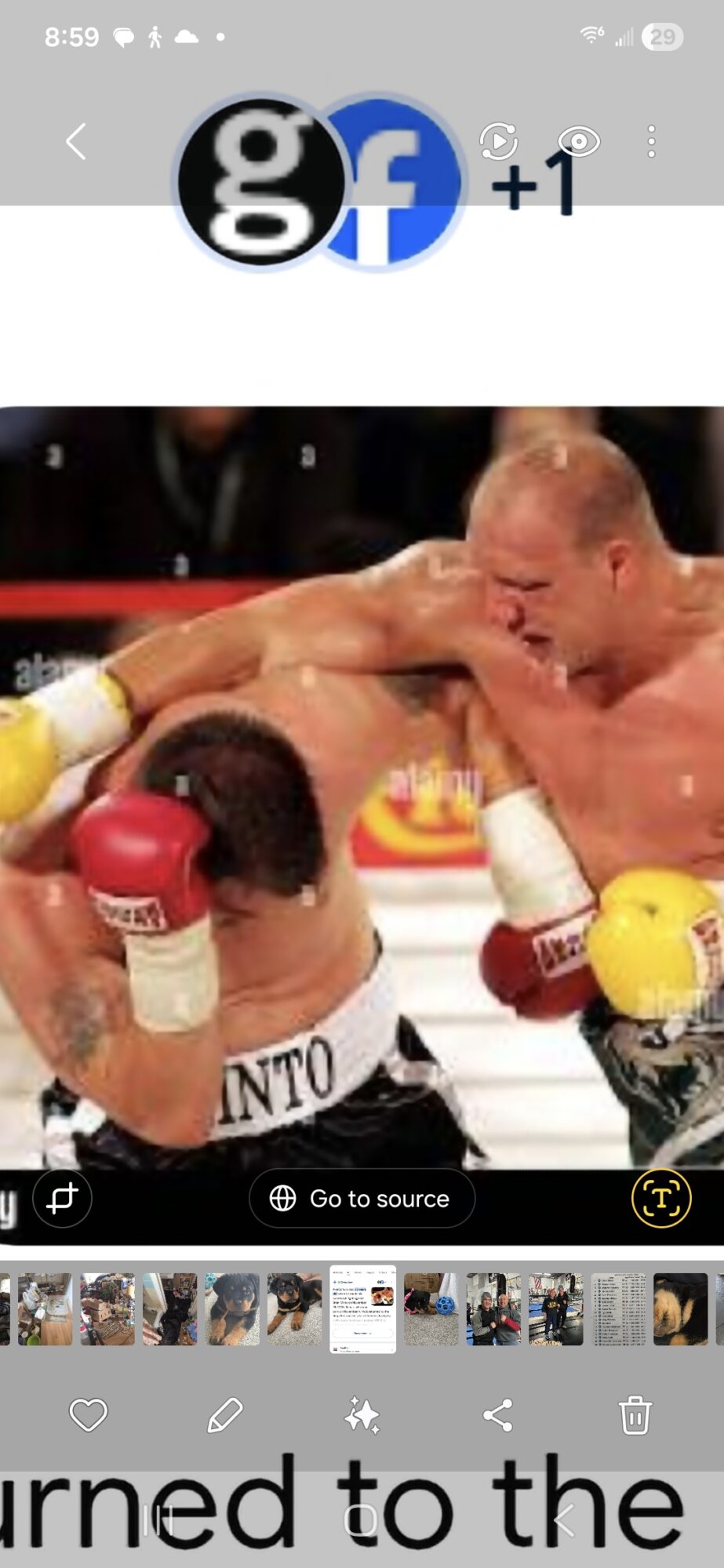 Boxers in a match, one delivering a punch to the other's face, with gloves and a boxing ring background.