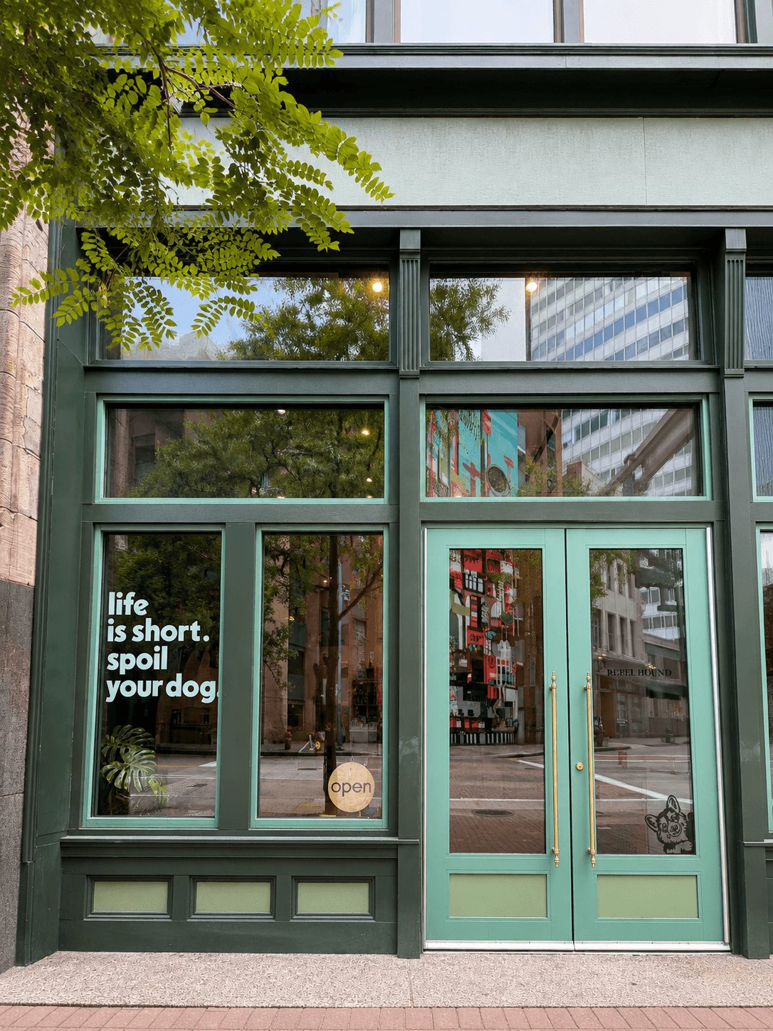 Storefront with large glass windows and door, green framing, and a sign that reads 'life is short. spoil your dog.'