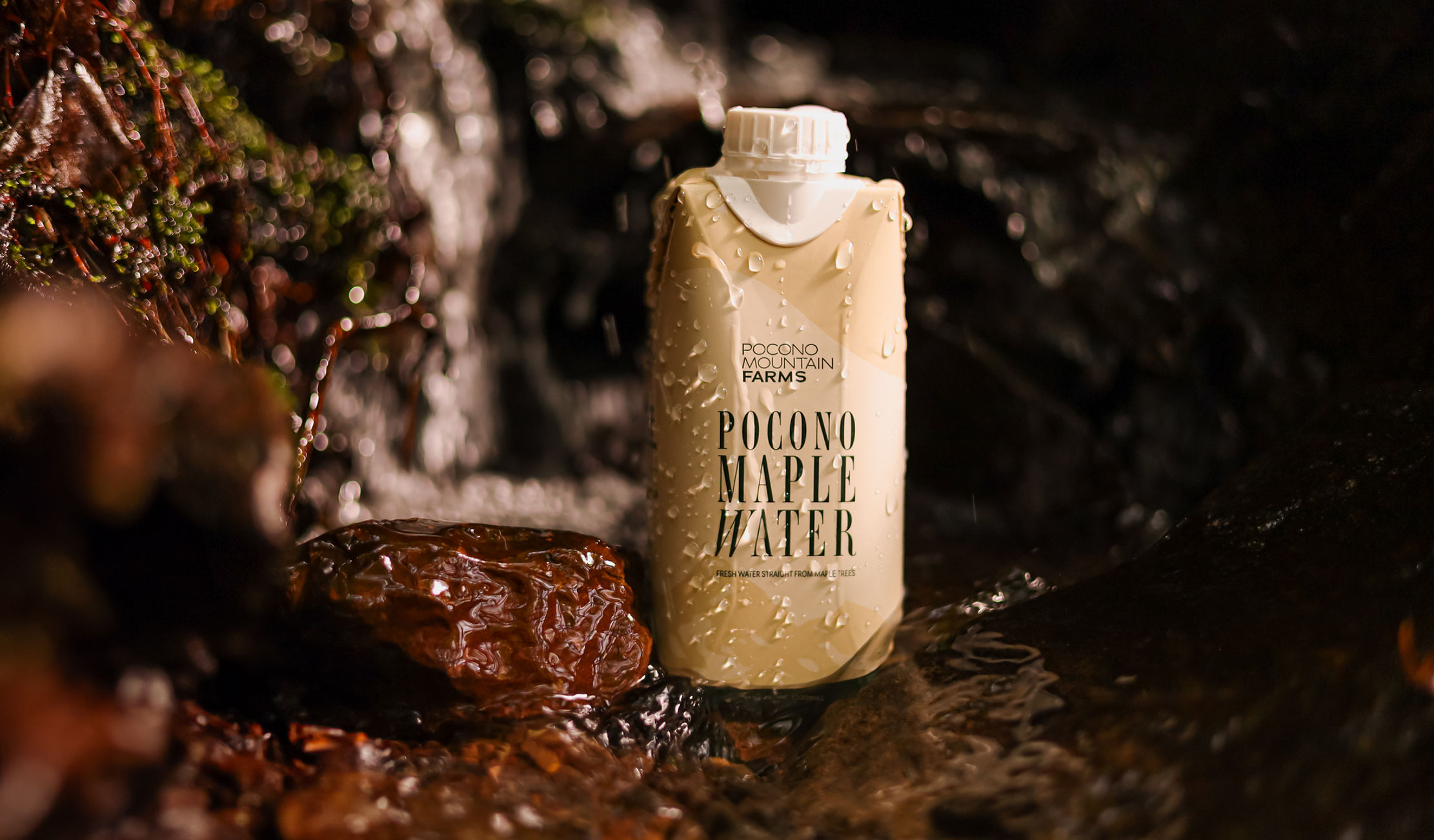 Bottle of Pocono Maple Water placed on rocks near a small waterfall in a natural setting.