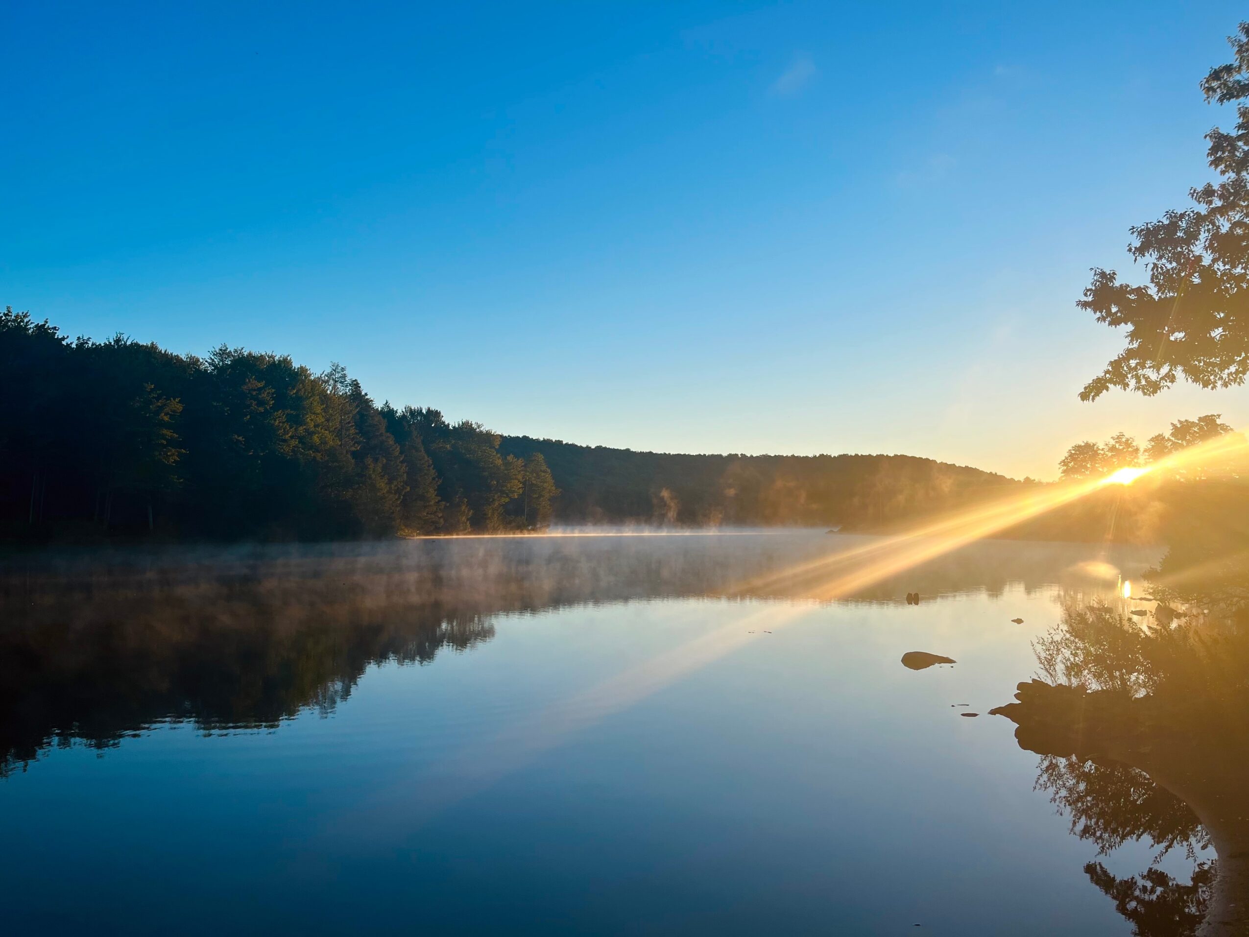 Sunrise over a calm river with mist, trees on both sides, and clear blue sky.