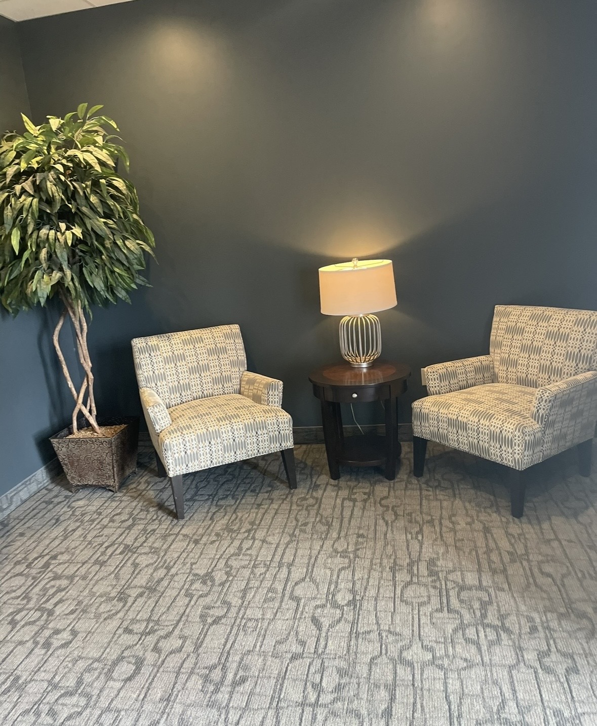 Two patterned armchairs with a small round table and lamp between them, a large potted plant on the left, against a dark wall.