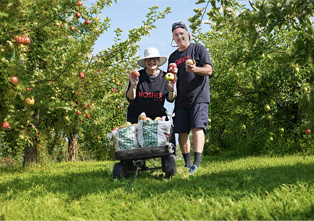 Two people in an orchard with apple trees, one holding apples, a cart with water bottles, bright green grass, sunny day.