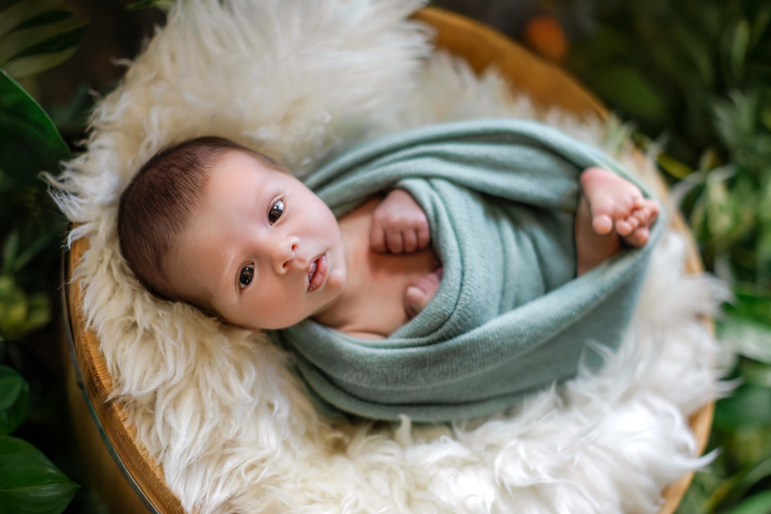 Baby lying on a fluffy blanket, wrapped in a green cloth, surrounded by green plants.