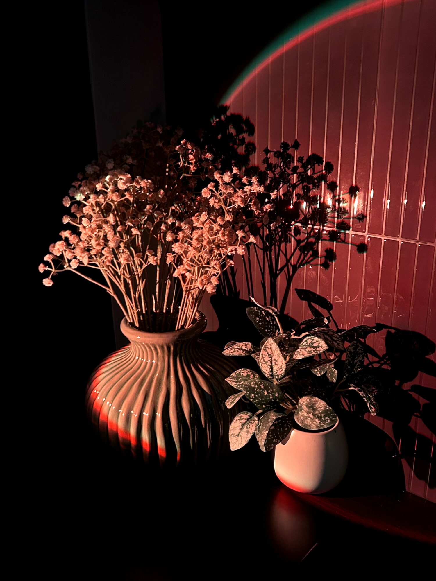 Vase with white flowers and leafy plant on a dark surface, illuminated by warm light, with a red wall background.