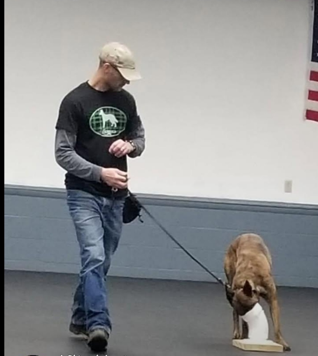 Person walking a dog indoors, holding a leash, with a wall and American flag in the background.