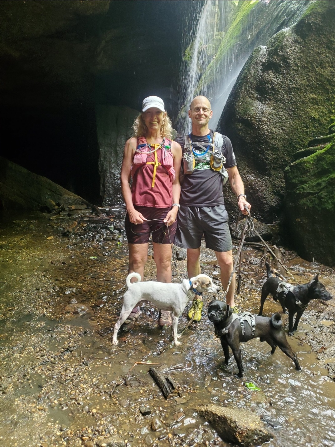Two people with four dogs stand in a rocky stream near a waterfall and moss-covered rocks.