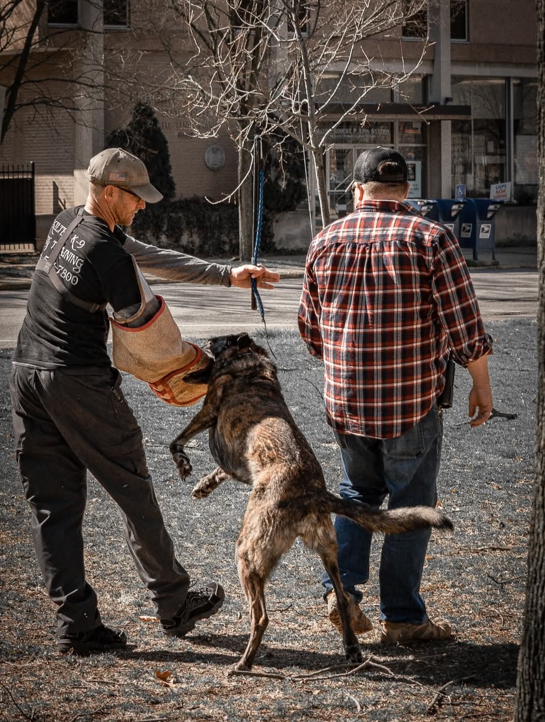 Two men and a dog on a city street, with trees and buildings in the background.