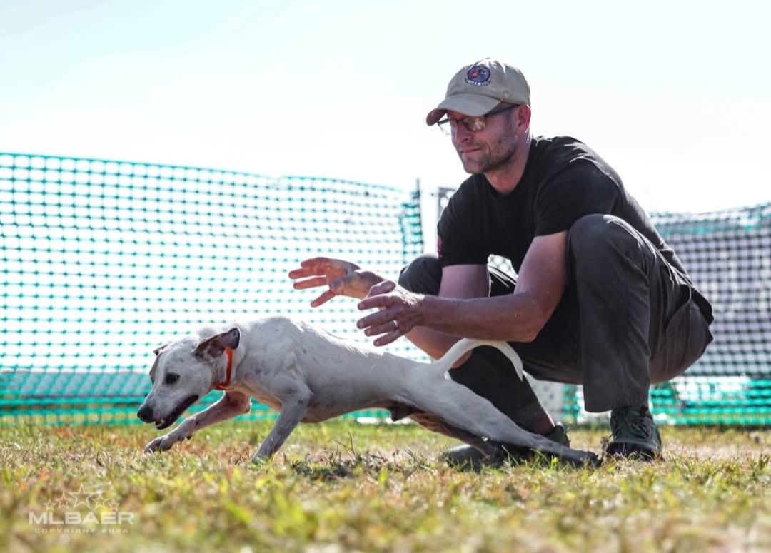 Person crouching outdoors with a dog running on grass, fenced area in background, sunny day.