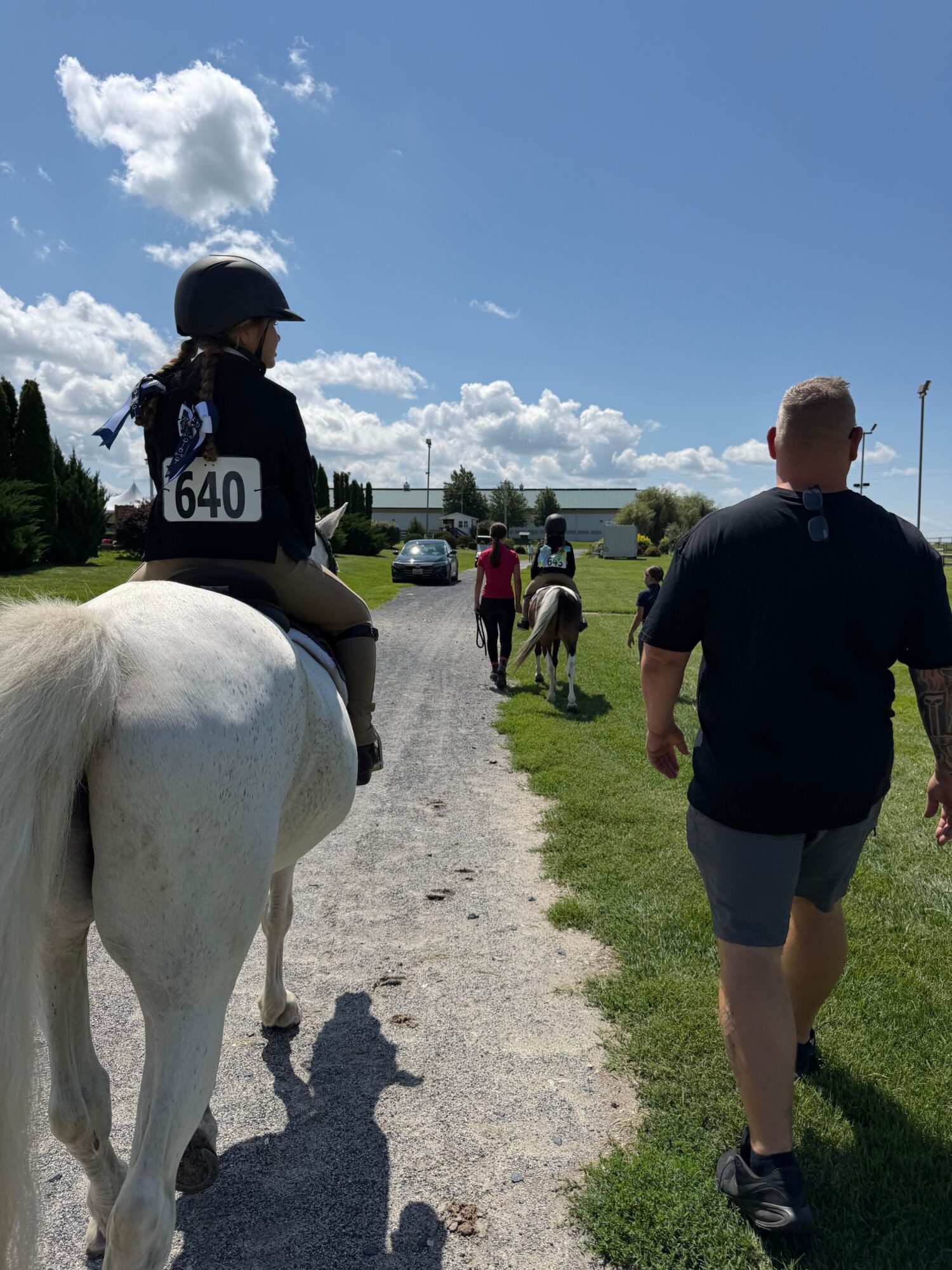 Person riding a white horse outdoors with people and a blue sky in the background.