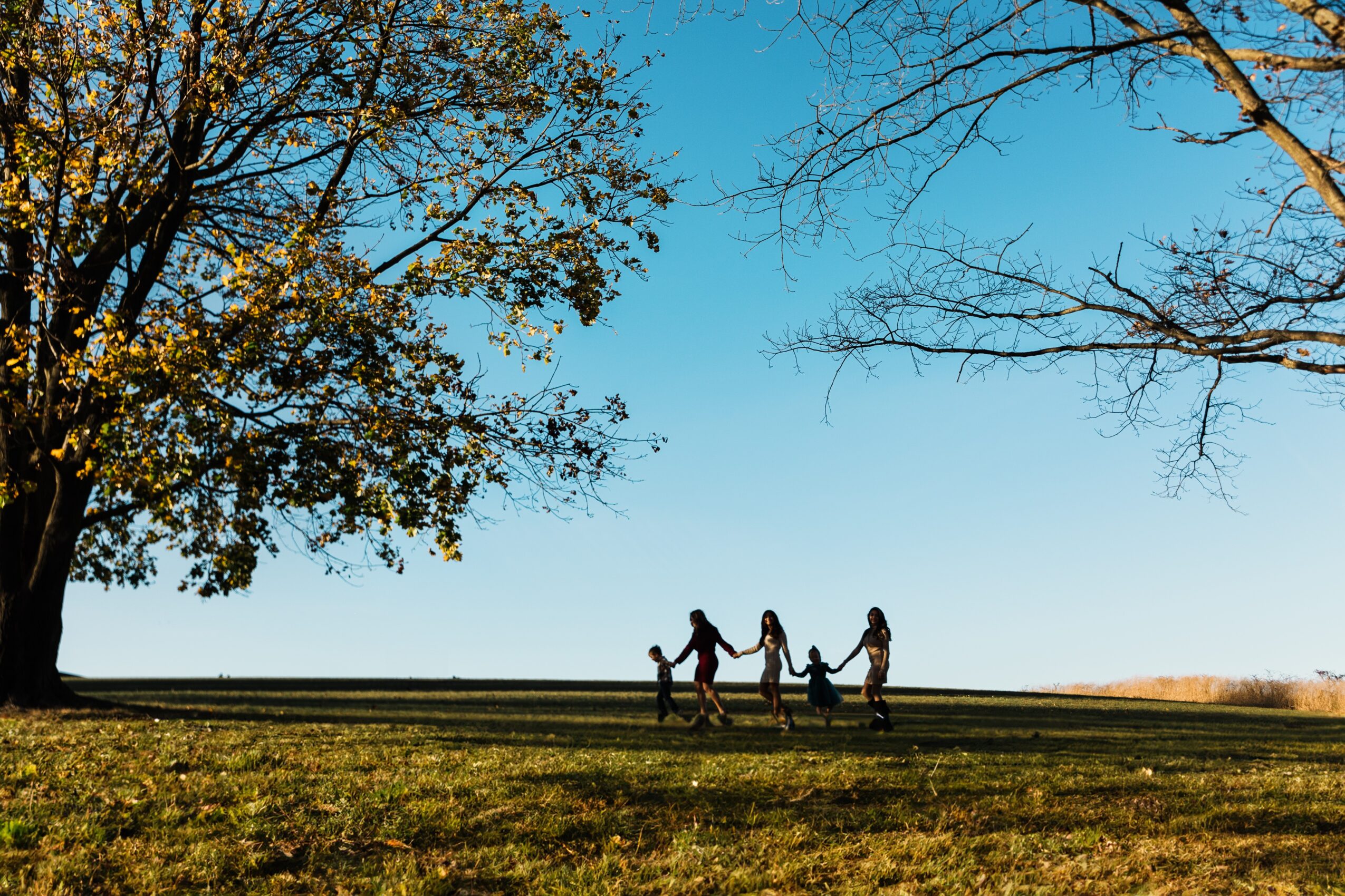 Group of children holding hands walking on grass with trees and blue sky in background.