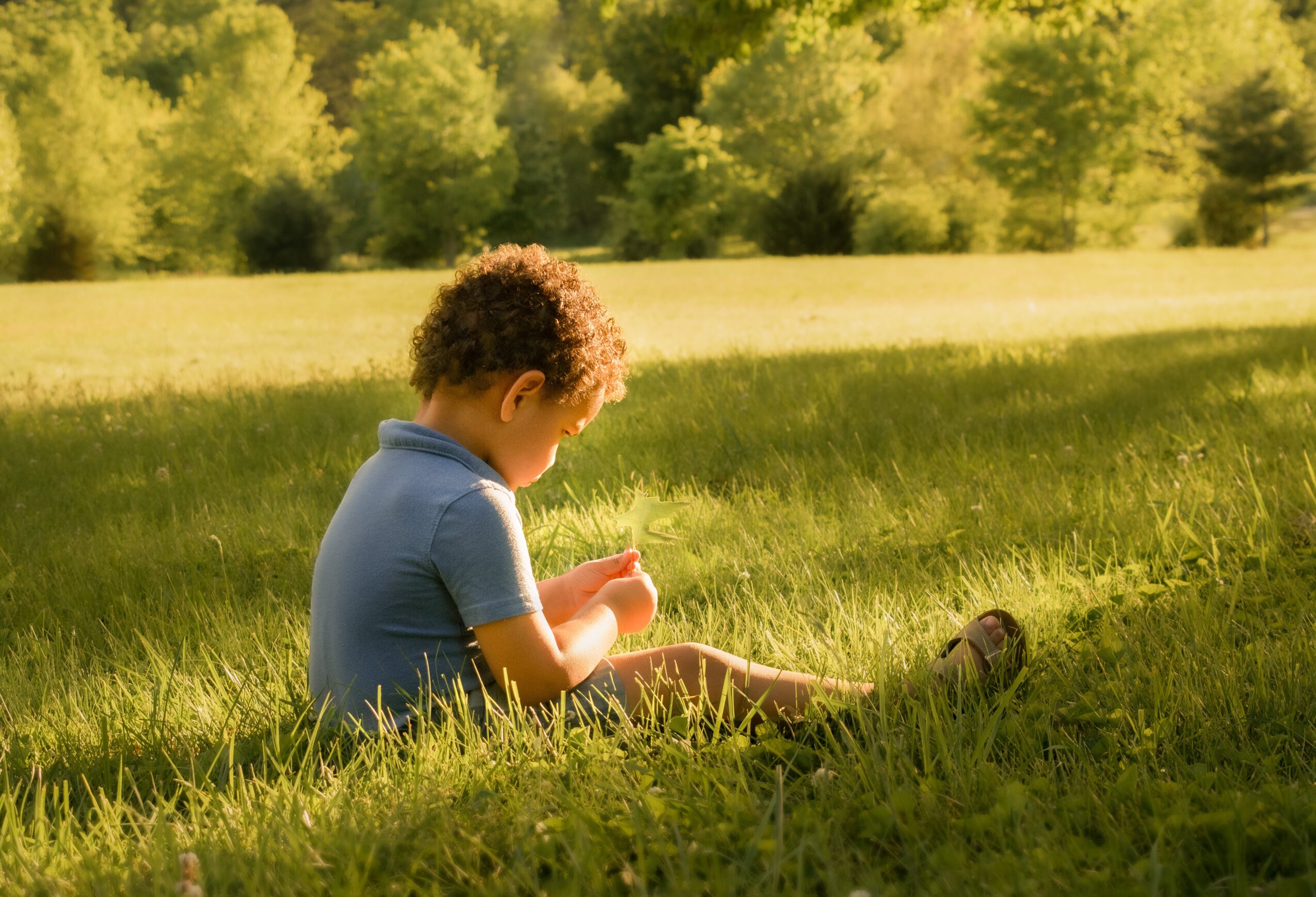Child sitting on grass in a park, looking at a small object in hand, with trees and sunlight in background.