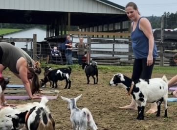 Woman standing near goats and sheep in a farmyard with a fence and bridge in background.