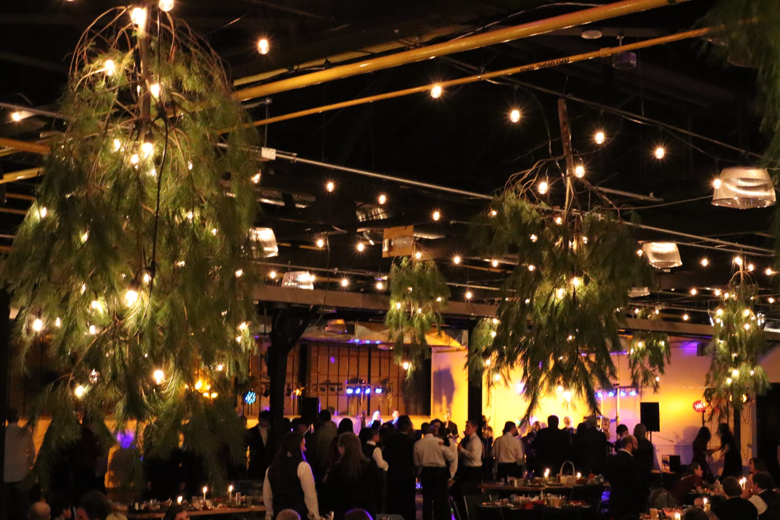 Indoor event with hanging greenery and string lights, people gathered in a dimly lit space with colorful lighting.