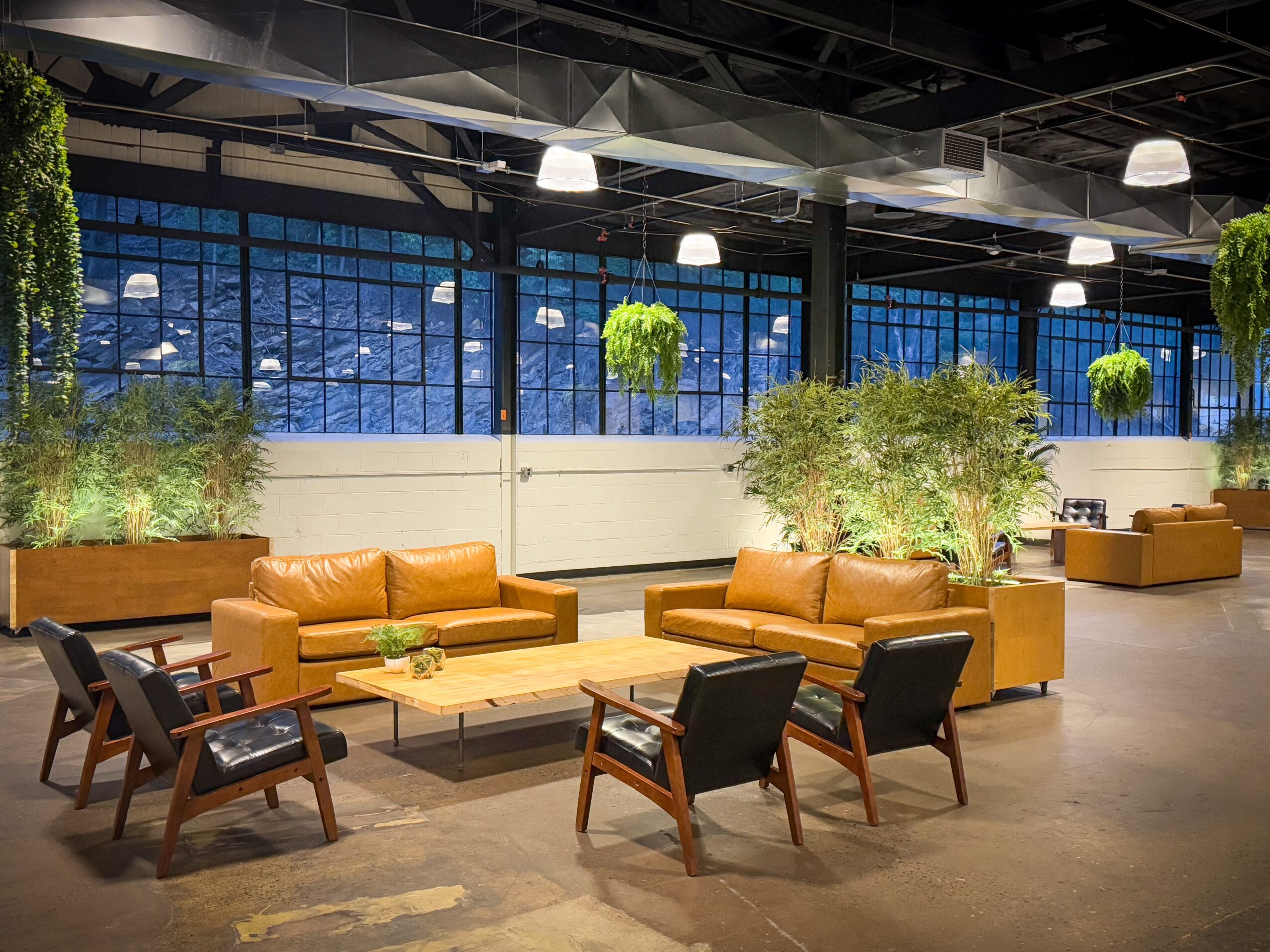Modern lounge area with leather sofas, wooden chairs, large windows, and hanging green plants in a spacious room.