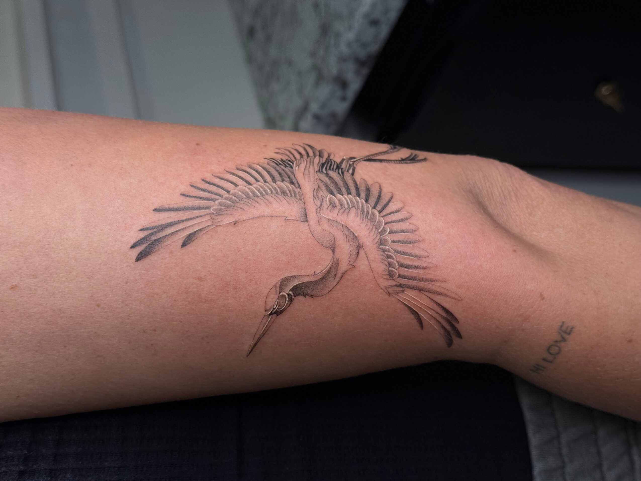 Tattoo of a bird with outstretched wings on person's forearm, detailed feathers, and a long tail, in black and gray ink.