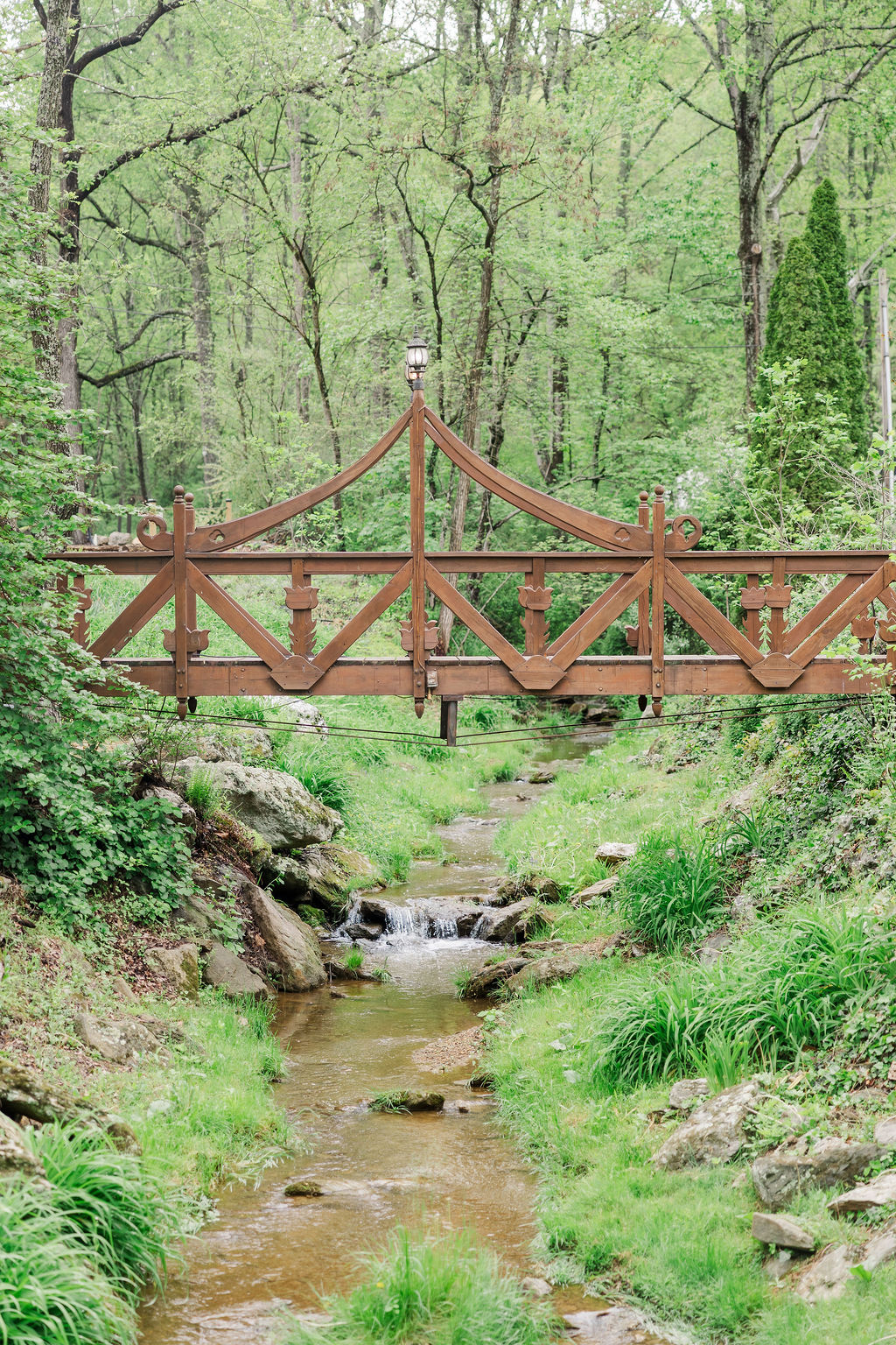 Wooden bridge over a small stream in a green forest, with trees and grass surrounding the area.