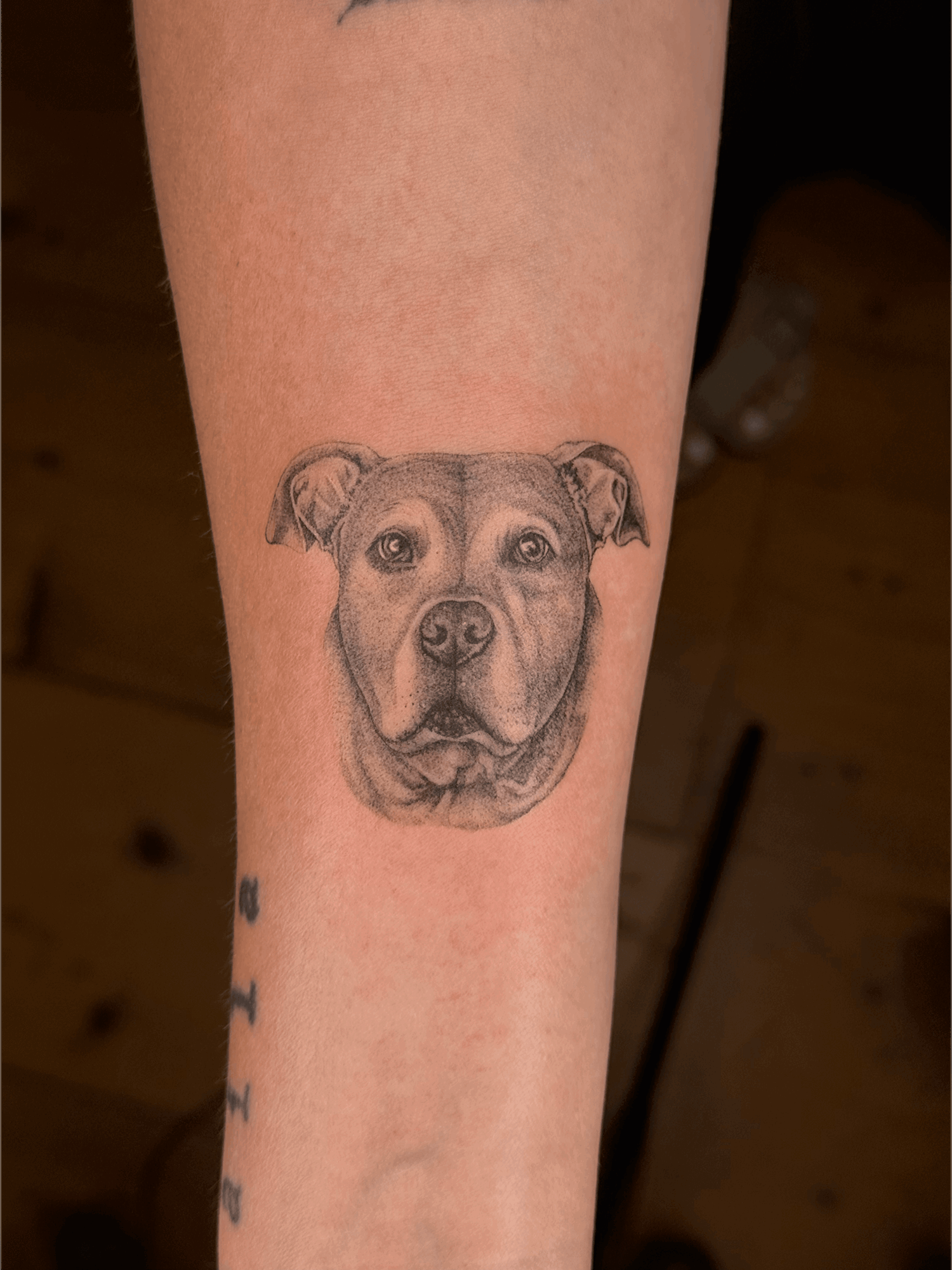 Tattoo of a dog's face on person's forearm, detailed and realistic, with a neutral background.