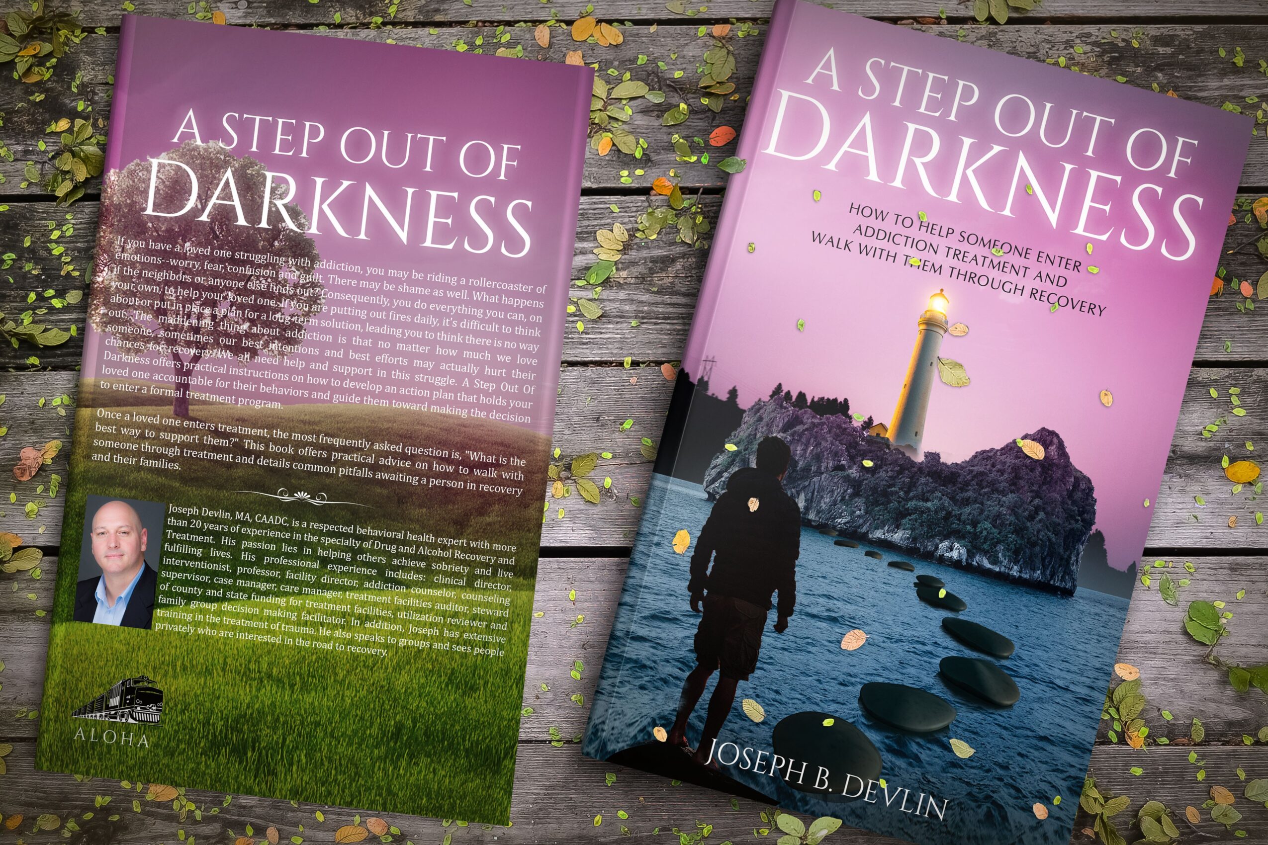 Book cover titled 'A Step Out of Darkness' with a person walking on rocks near water at sunset.