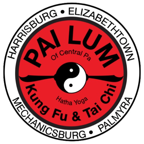 Circular logo with red background, black and white yin-yang symbol, and black text for martial arts schools.