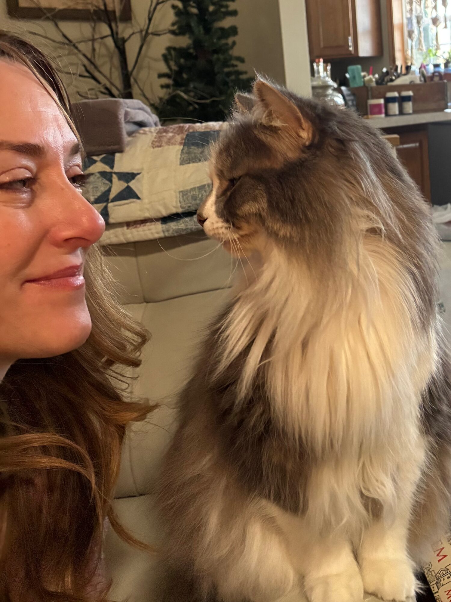Woman with long hair looking at a fluffy, long-haired cat indoors, with a background of a living room and kitchen.
