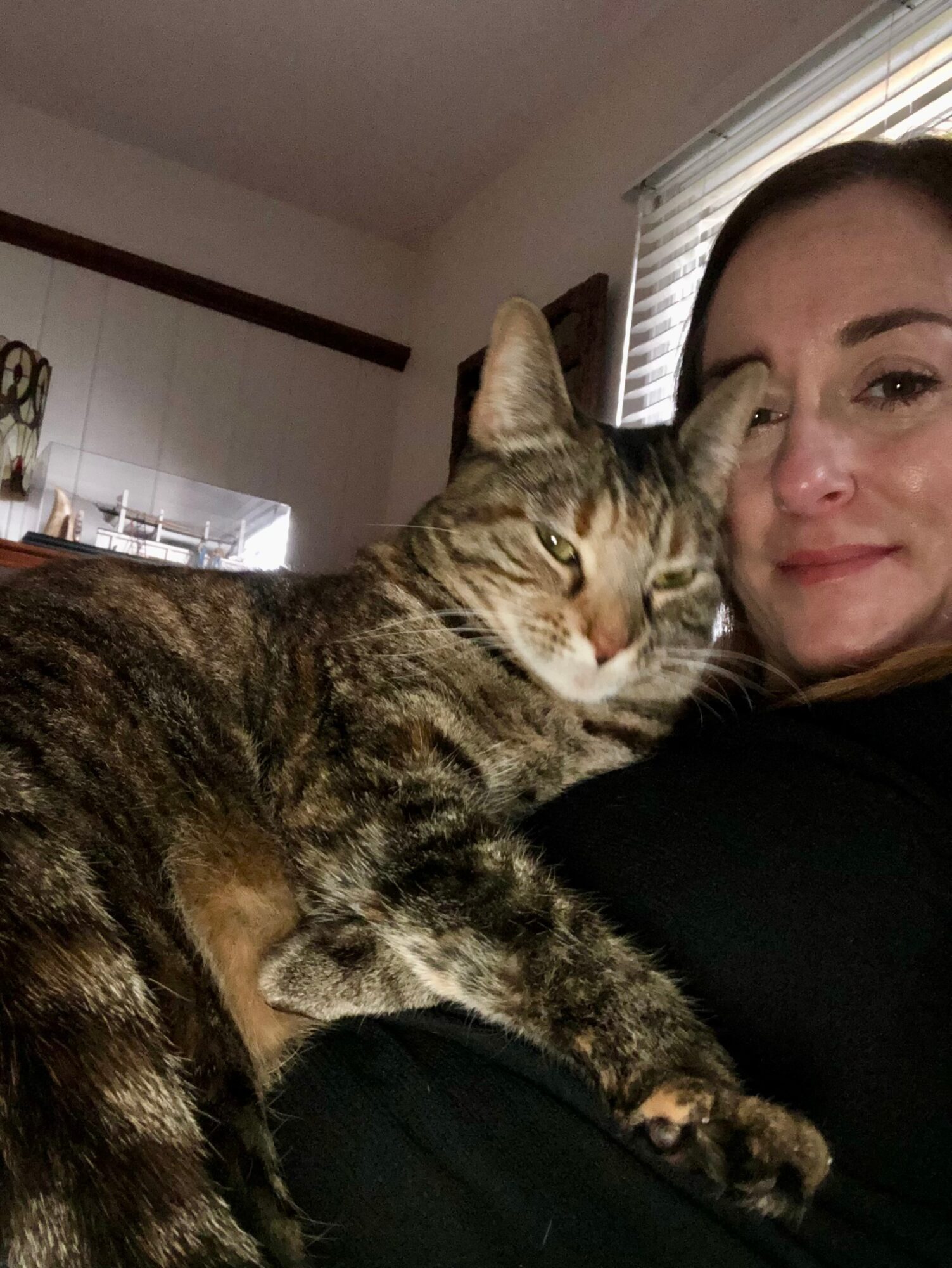 Person lying down with a tabby cat resting on their chest, near a window with blinds in the background.