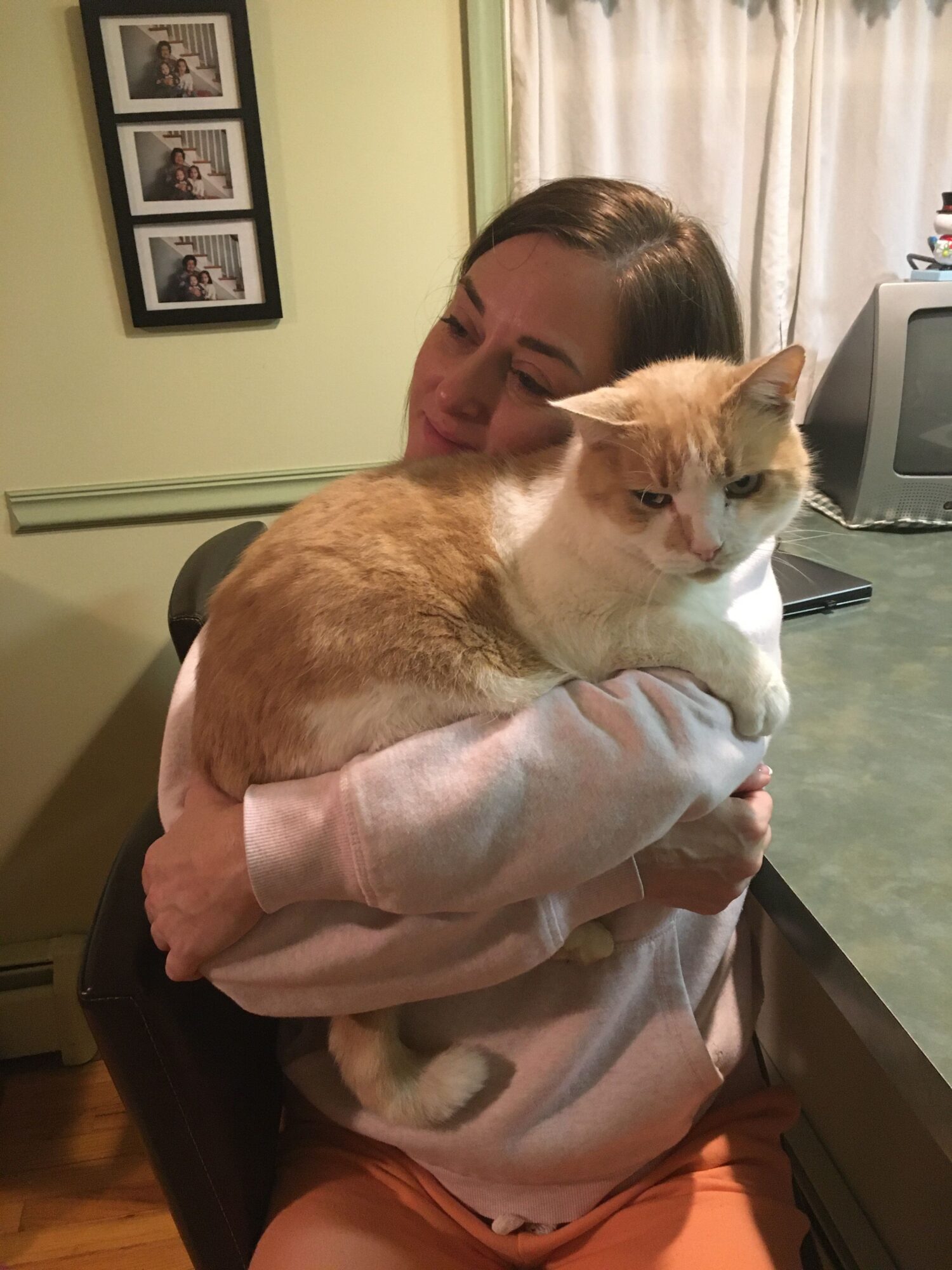 Person holding a cat on their lap indoors, with framed photos on the wall behind.