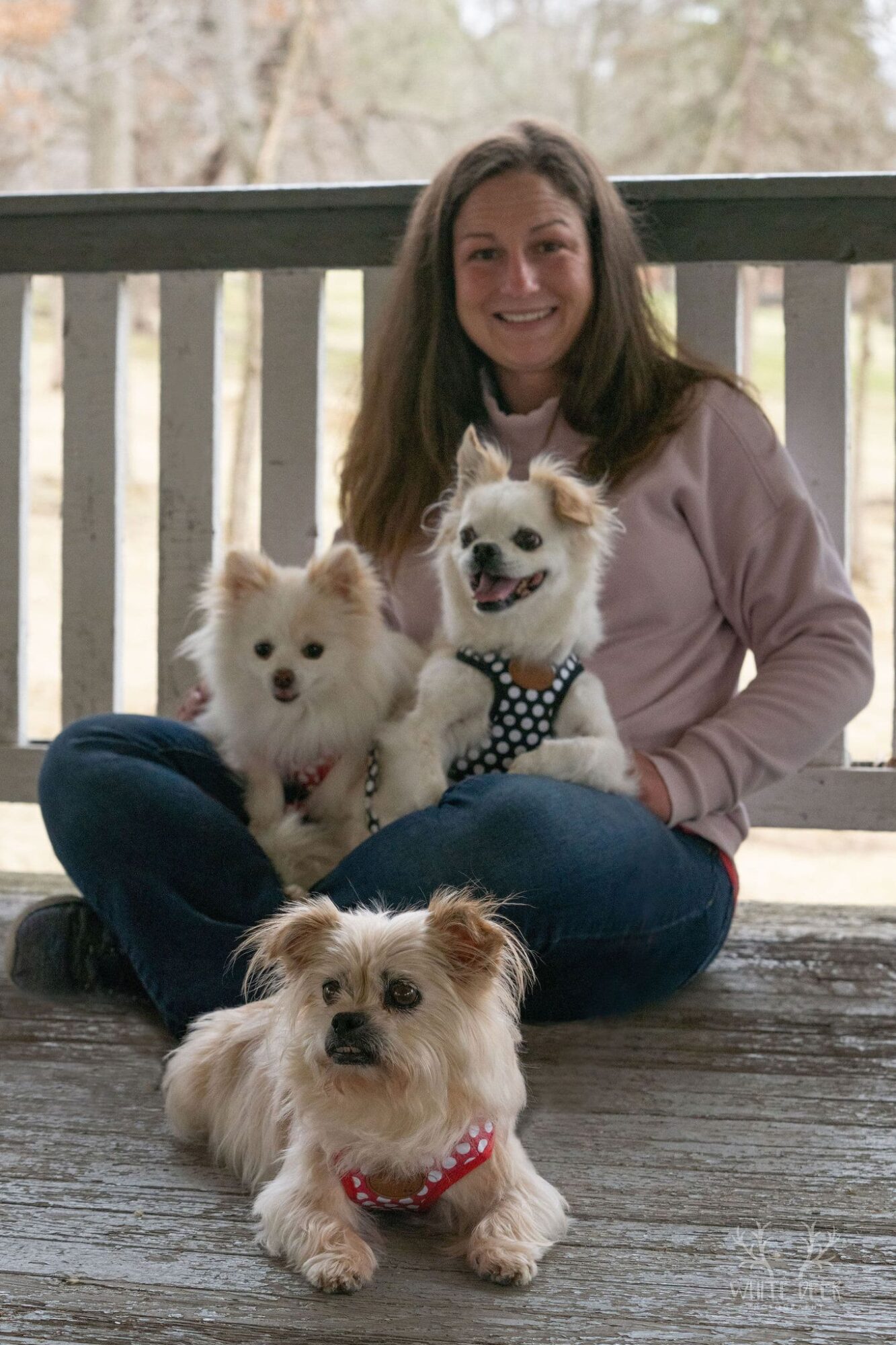Woman sitting on porch with three dogs, smiling, two small fluffy dogs and one larger dog in front.