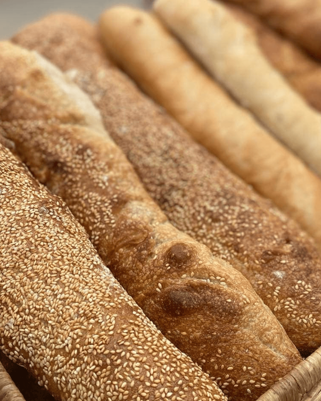 Close-up of various breadsticks with sesame seeds and different textures, arranged in a row.