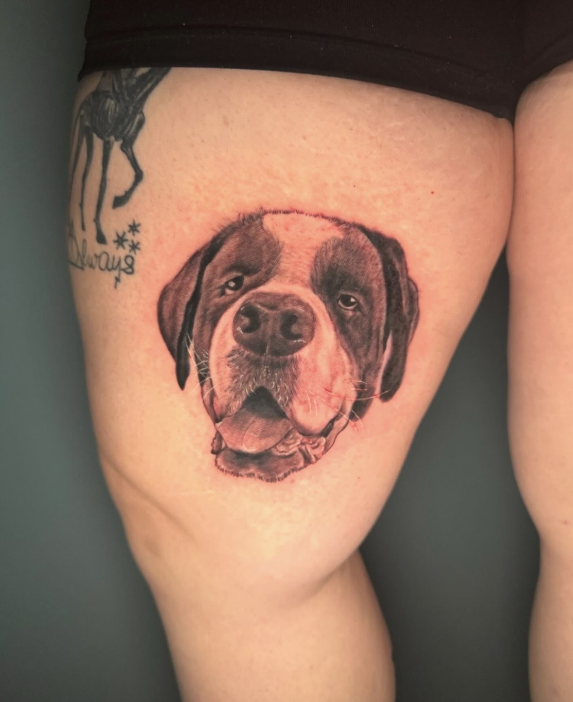 Tattoo of a dog's face on person's thigh, showing a happy expression with tongue out, detailed shading and realistic style.