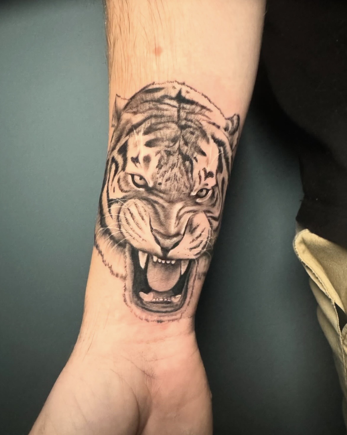 Tattoo of a tiger's face with open mouth, showing teeth, on person's forearm.