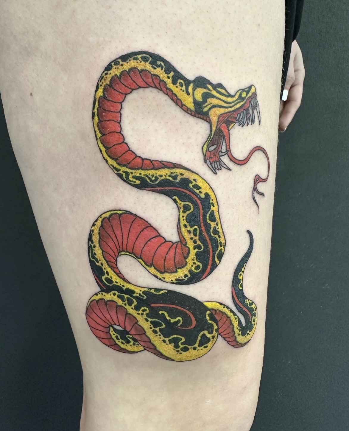 Colorful snake tattoo with red, yellow, and black patterns on person's thigh, with its mouth open and tongue out.