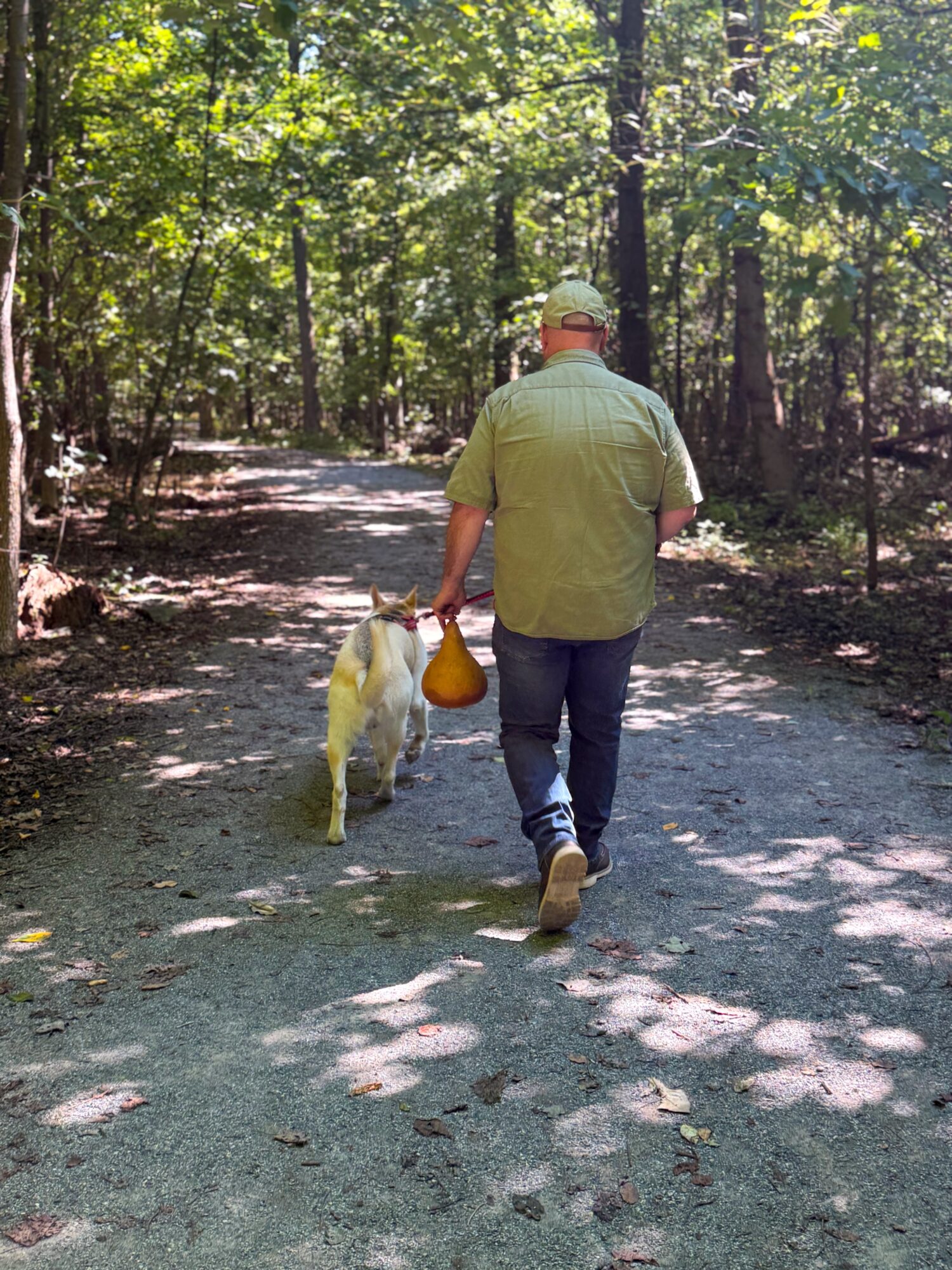 Man walking on a forest trail with a dog, carrying a yellow bag, surrounded by trees and sunlight filtering through leaves.