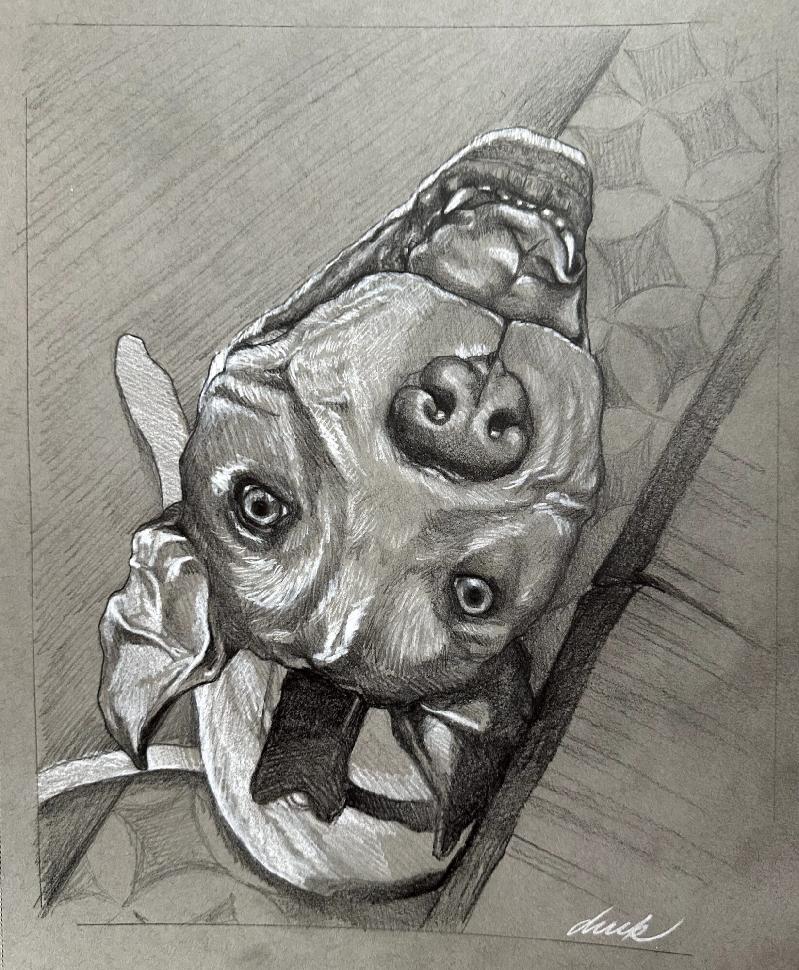 A dog with a collar lying on a patterned surface, viewed from above, in a pencil sketch style.