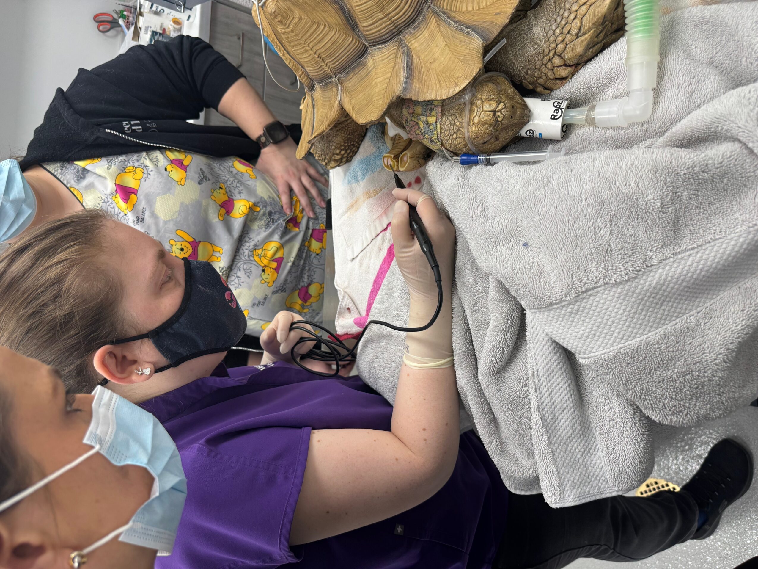 Person wearing a purple shirt and black mask writing on paper, surrounded by logs and a gray cloth, with another person nearby.
