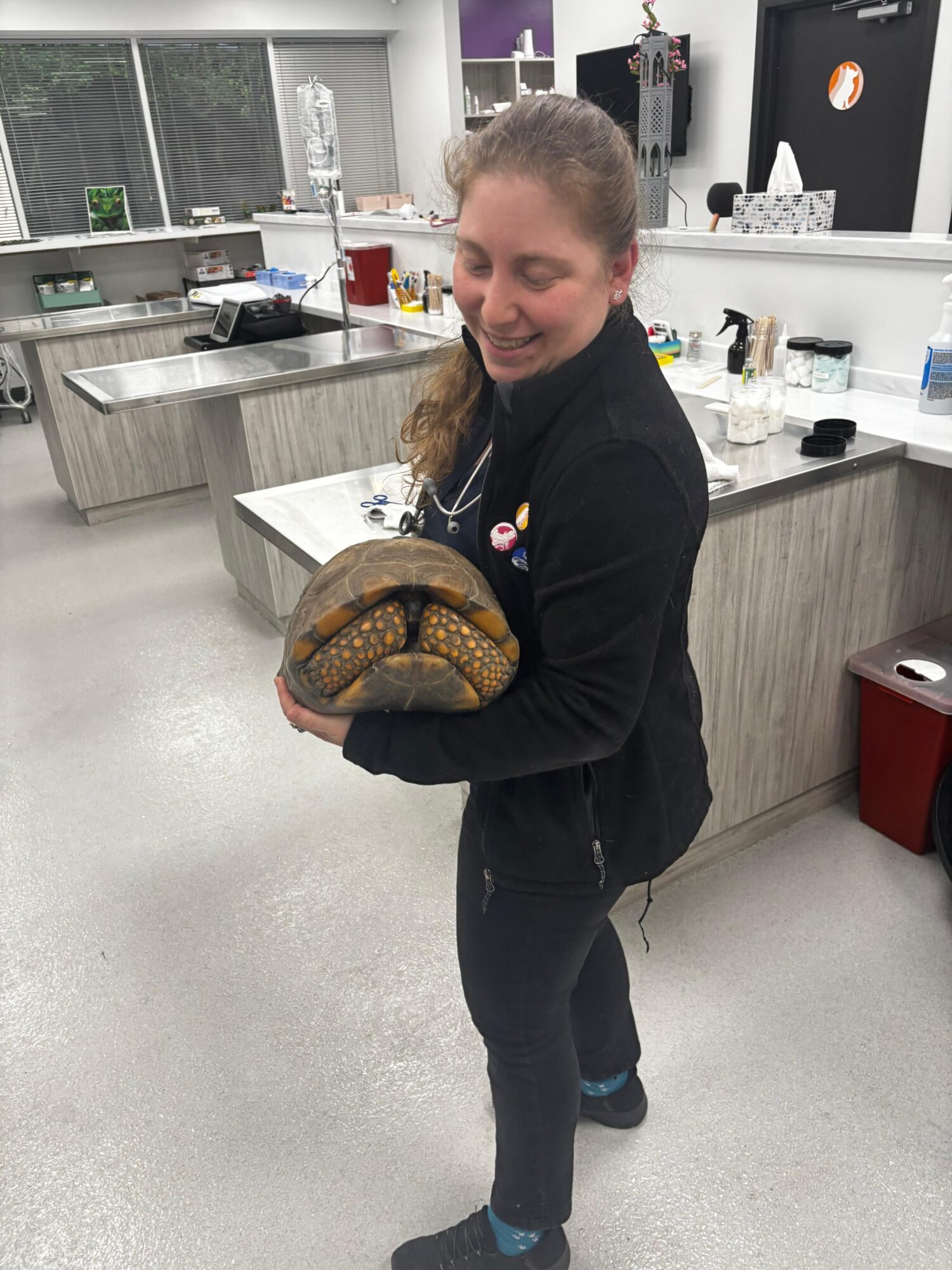Person holding a large snake in a laboratory or classroom setting, smiling and looking down at the snake.