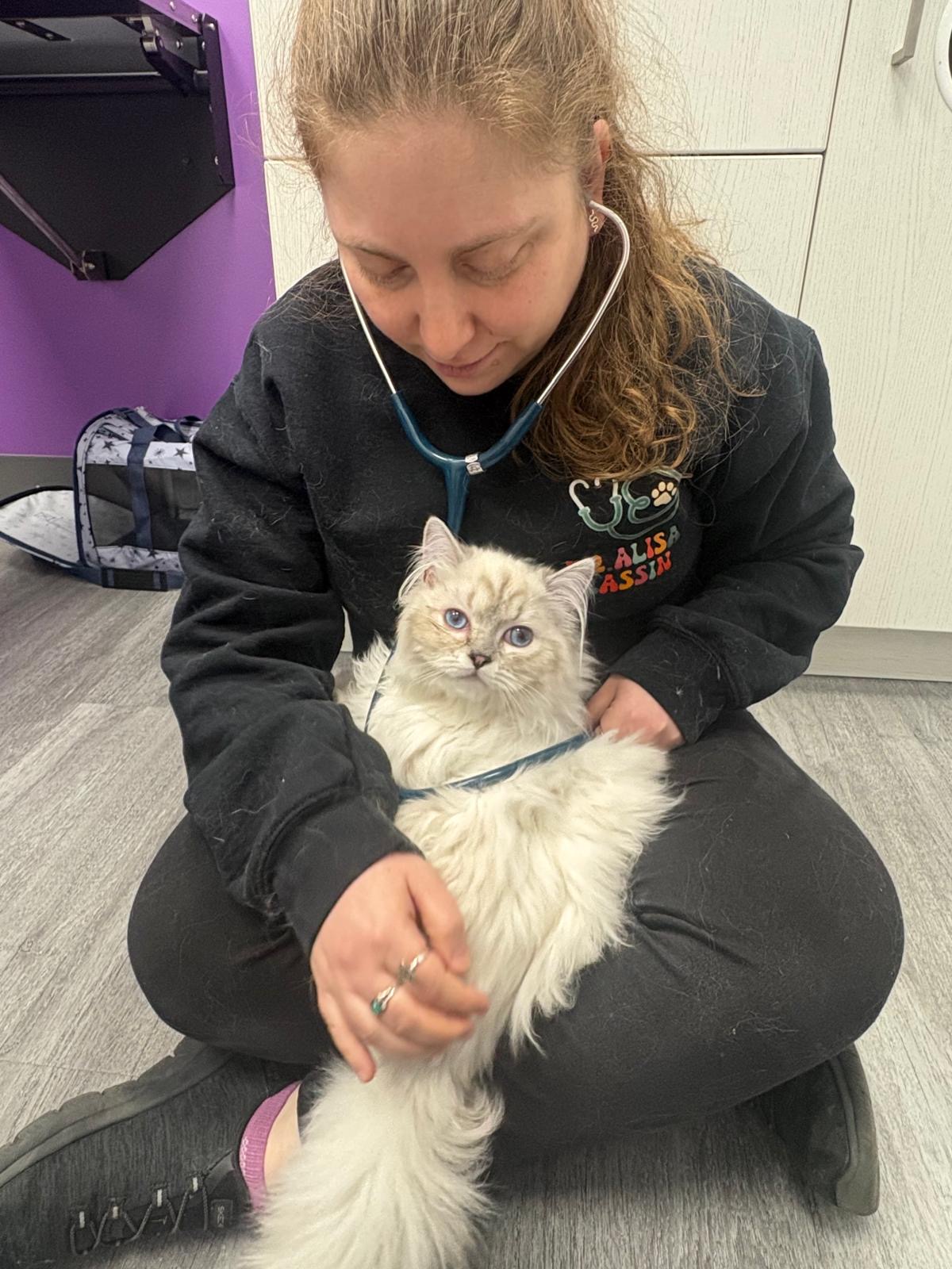 Young woman with a stethoscope around her neck holding a fluffy white cat, sitting on the floor indoors.