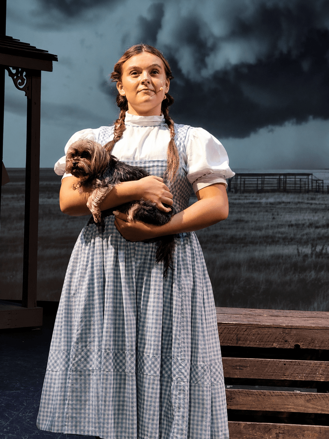 Young girl in a checkered dress holding a small dog outdoors with dark stormy clouds in the background.