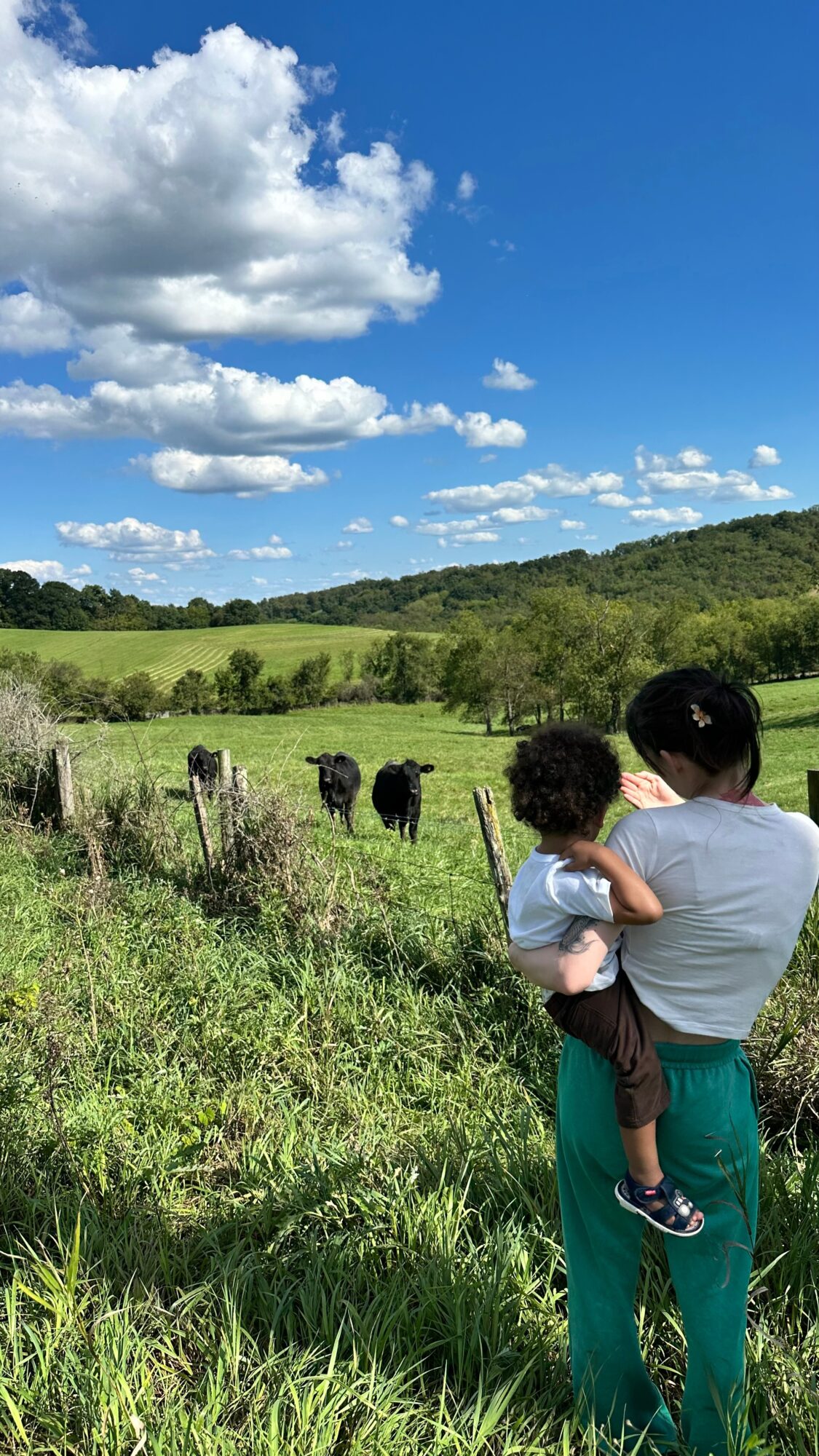 Person holding a child outdoors in a grassy field with cows, trees, and a blue sky with clouds.