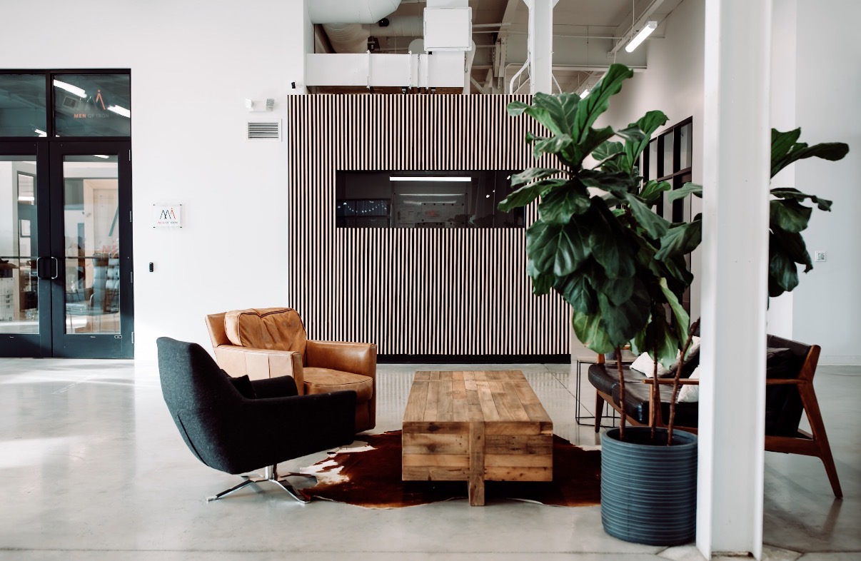 Modern interior with a large potted plant, wooden coffee table, and seating area with armchairs and a rug.
