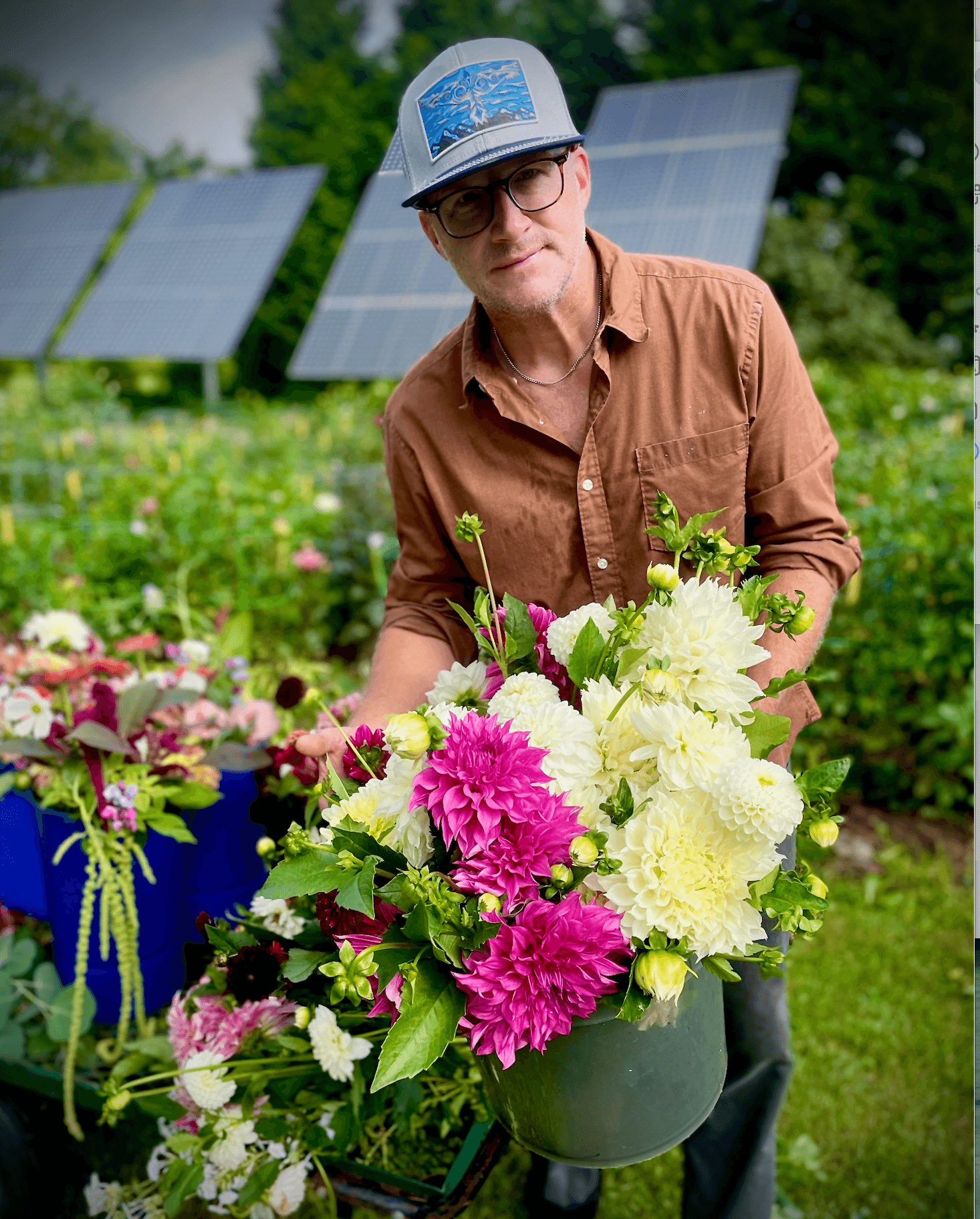 Person wearing glasses and a cap arranging colorful flowers outdoors with solar panels in background.