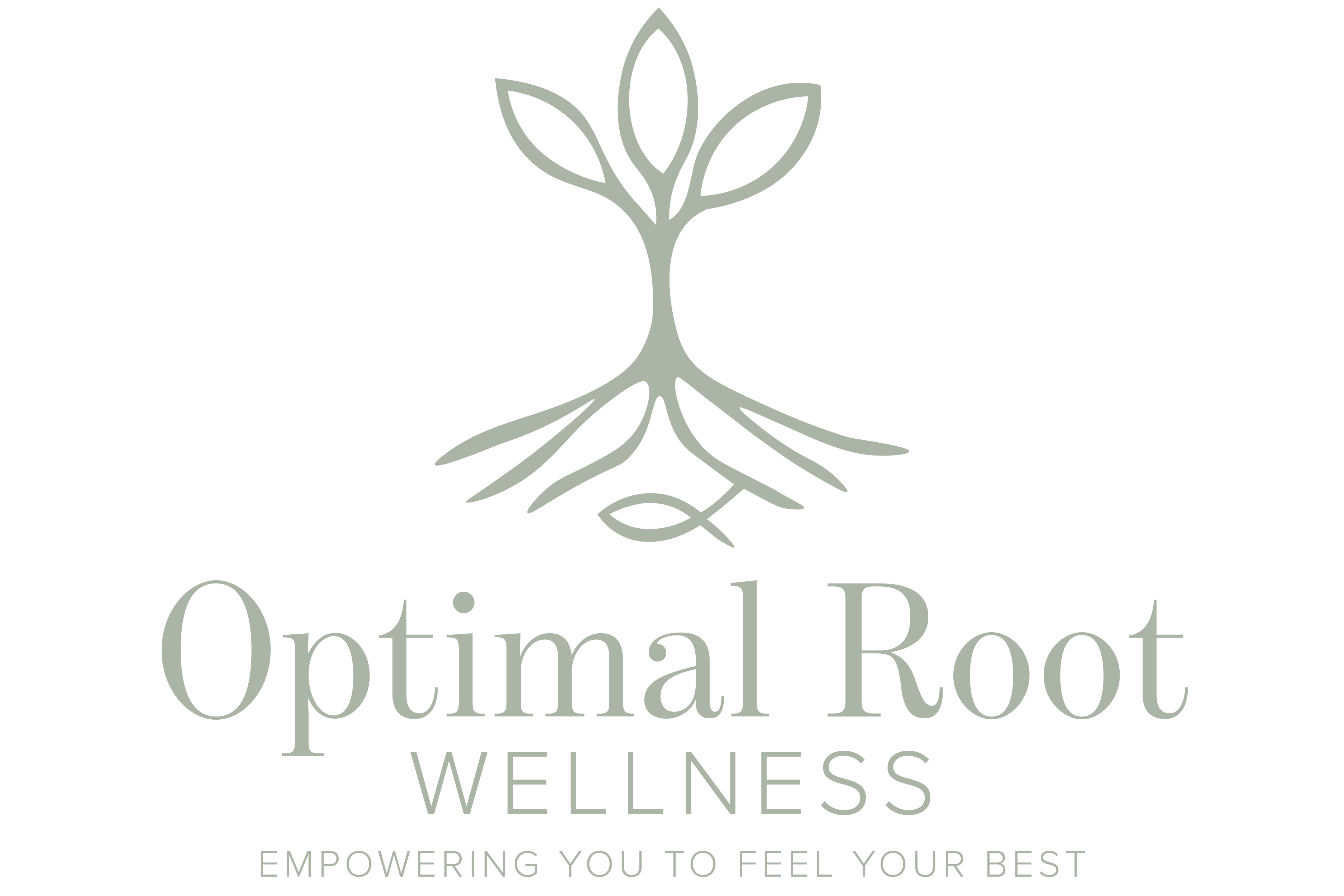 Logo with a stylized plant and roots, text reads 'Optimal Root Wellness' and 'Empowering you to feel your best'.