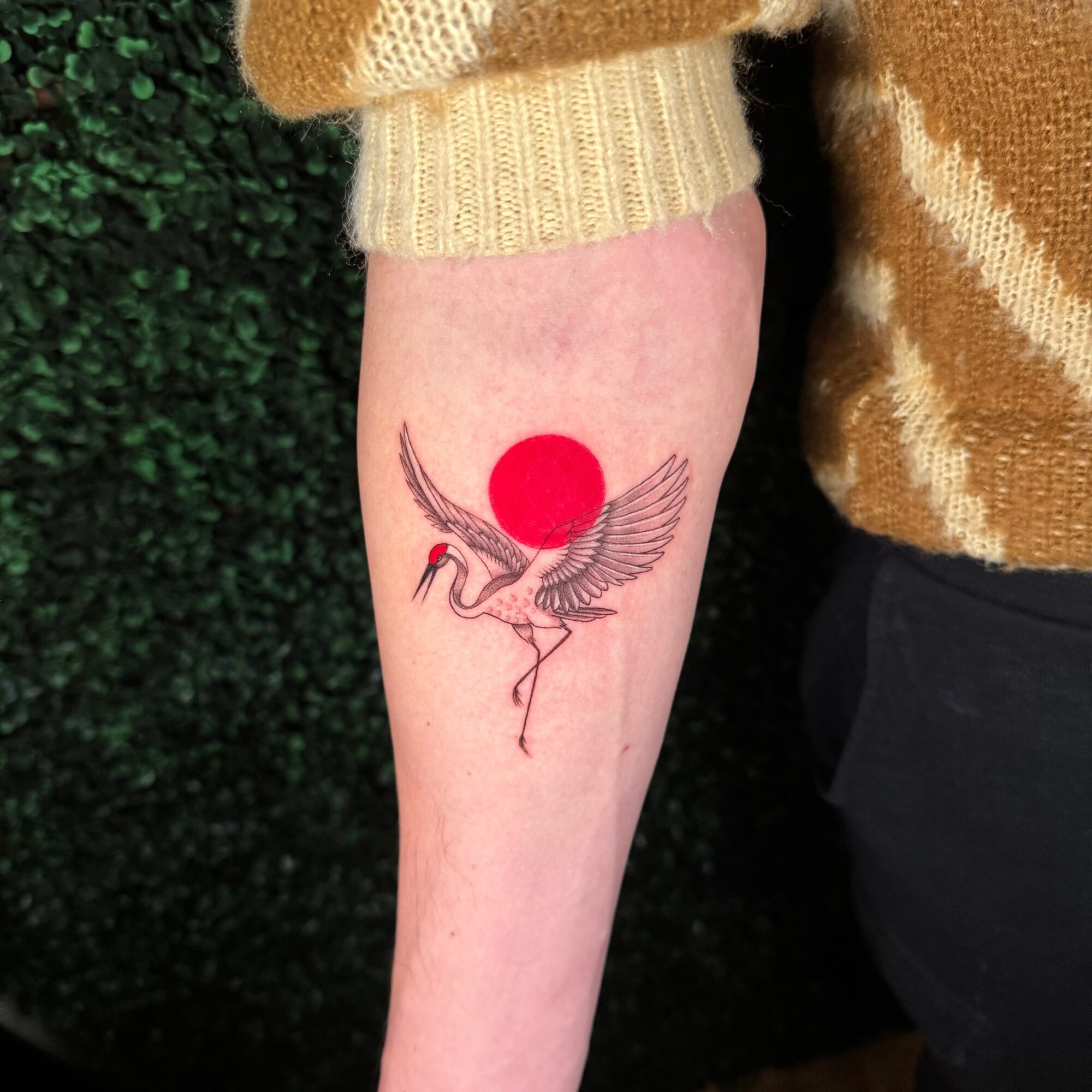 Tattoo of a bird with a red circle behind it on person's forearm, with a green leafy background.