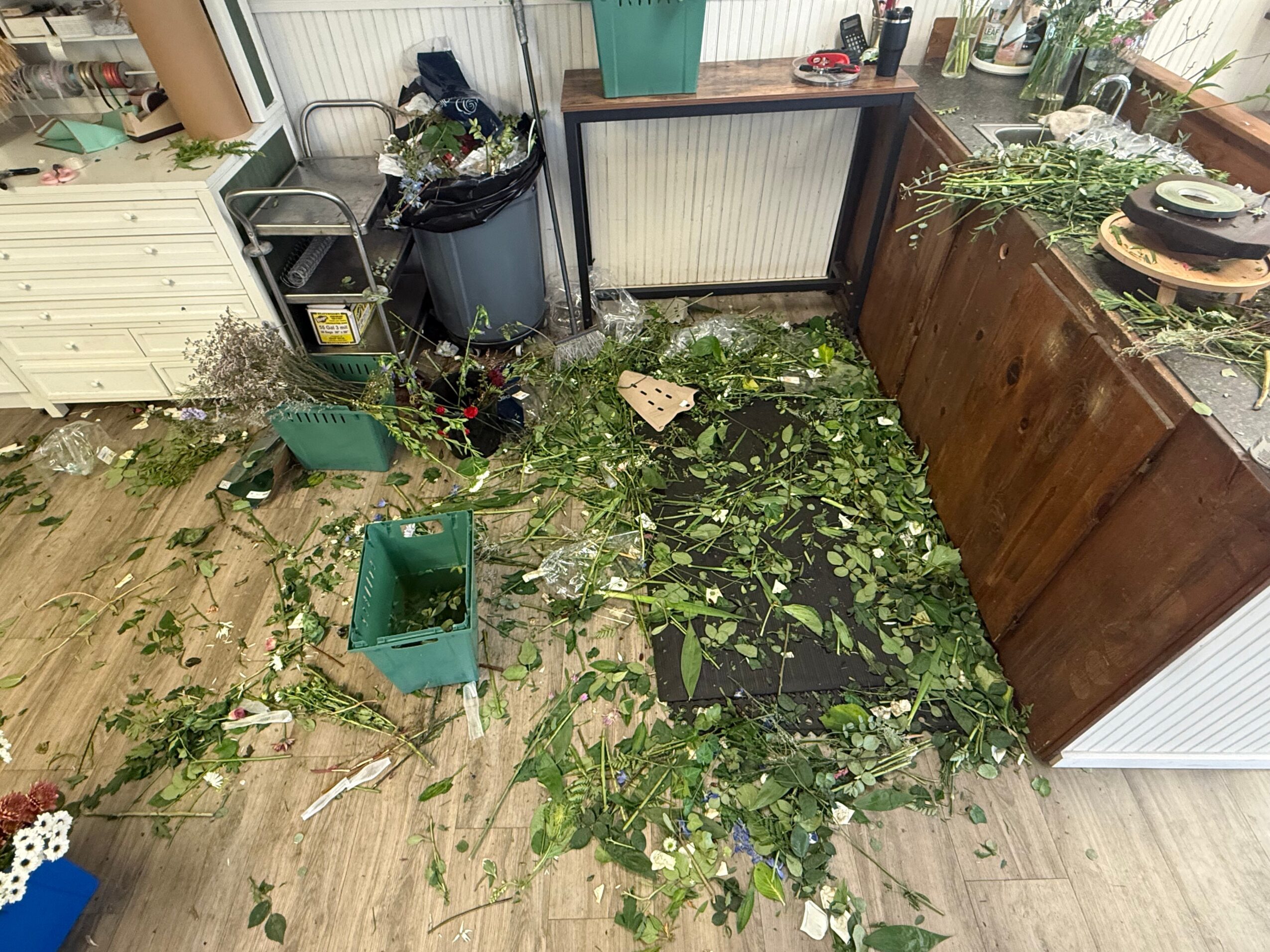 Room with broken plant pots, scattered plant debris, and damaged furniture on a wooden floor.